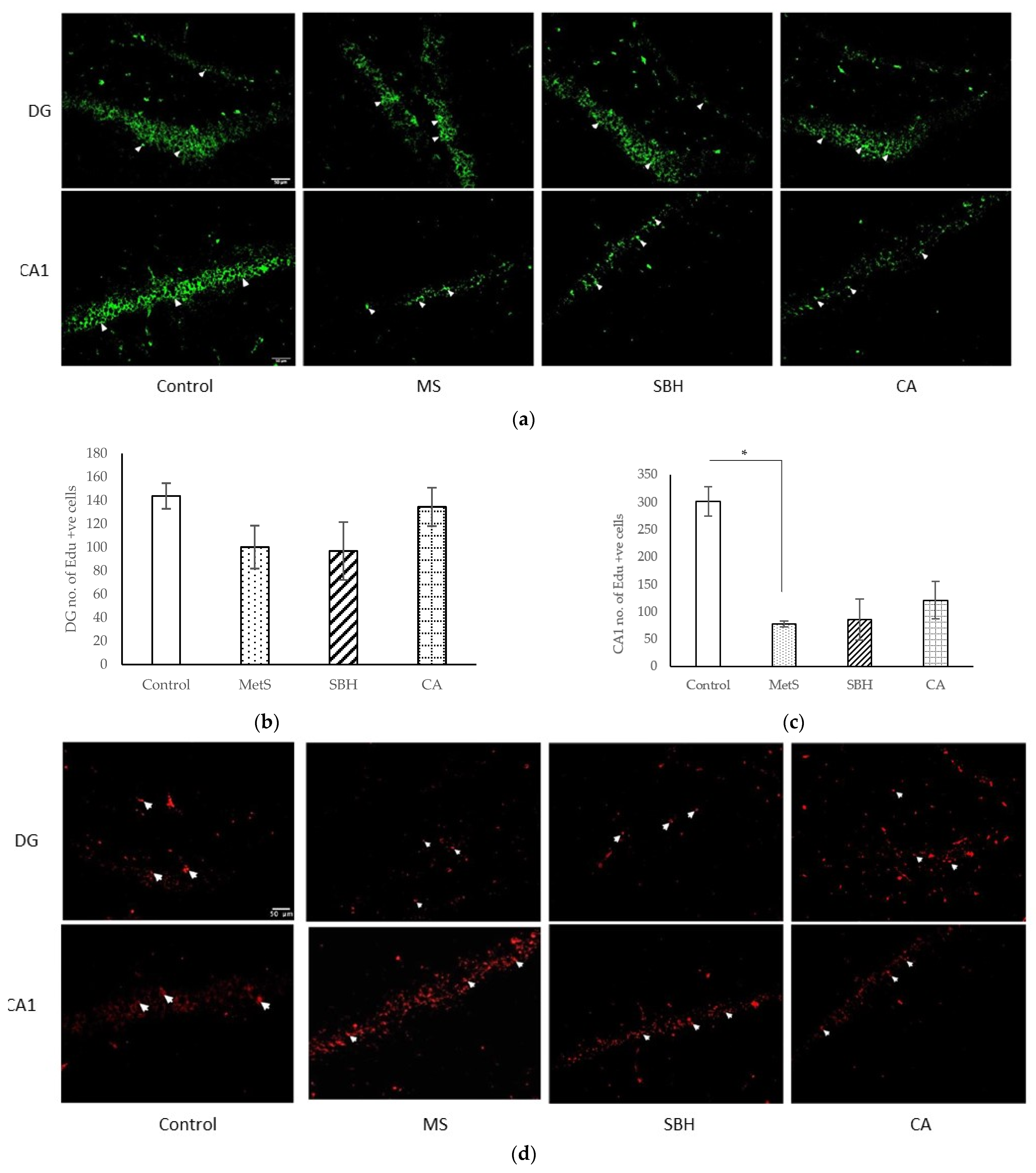 Antioxidants 11 02154 g005a Antioxidants 11 02154 g005a