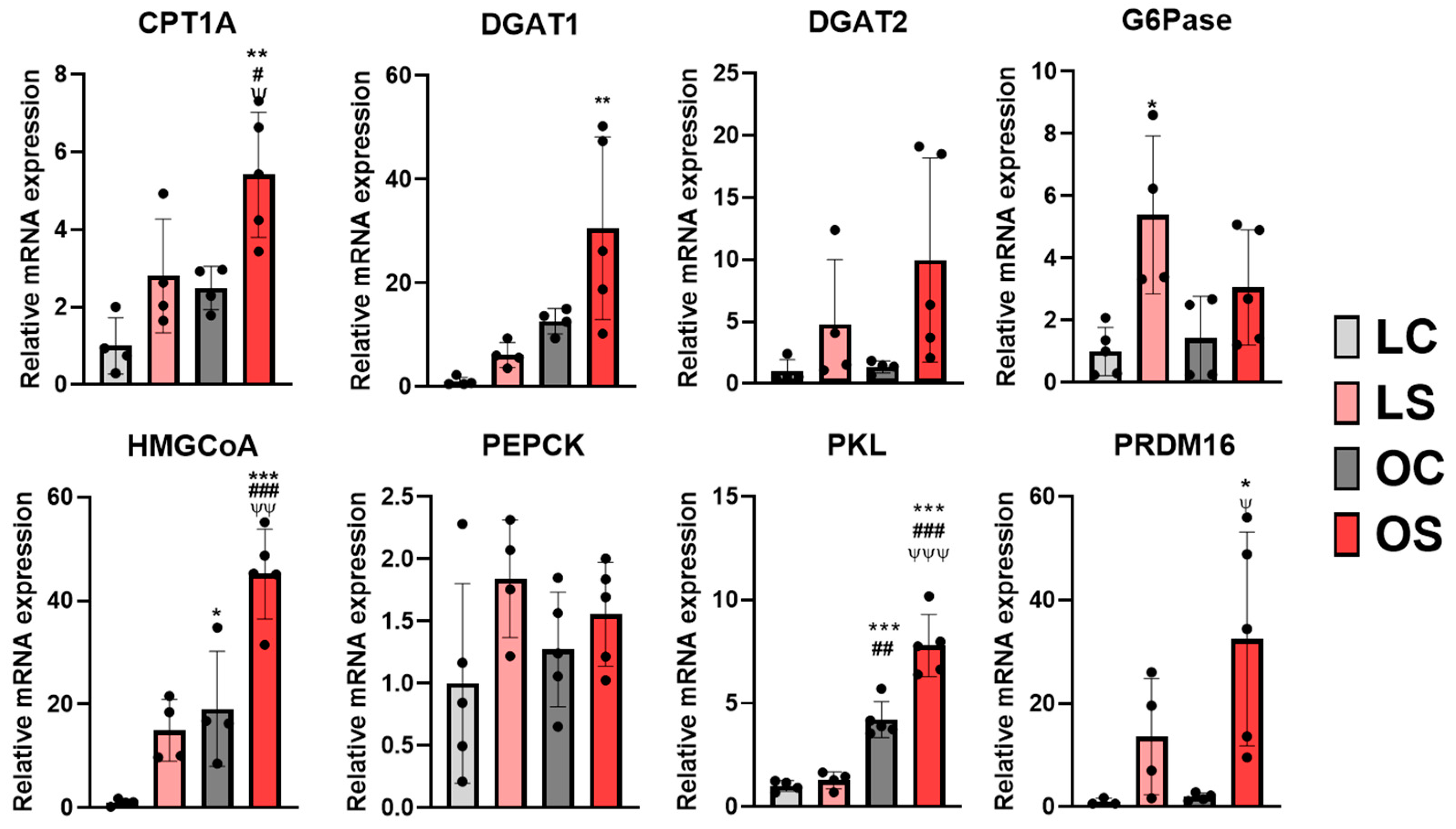 Antioxidants 11 02165 g004