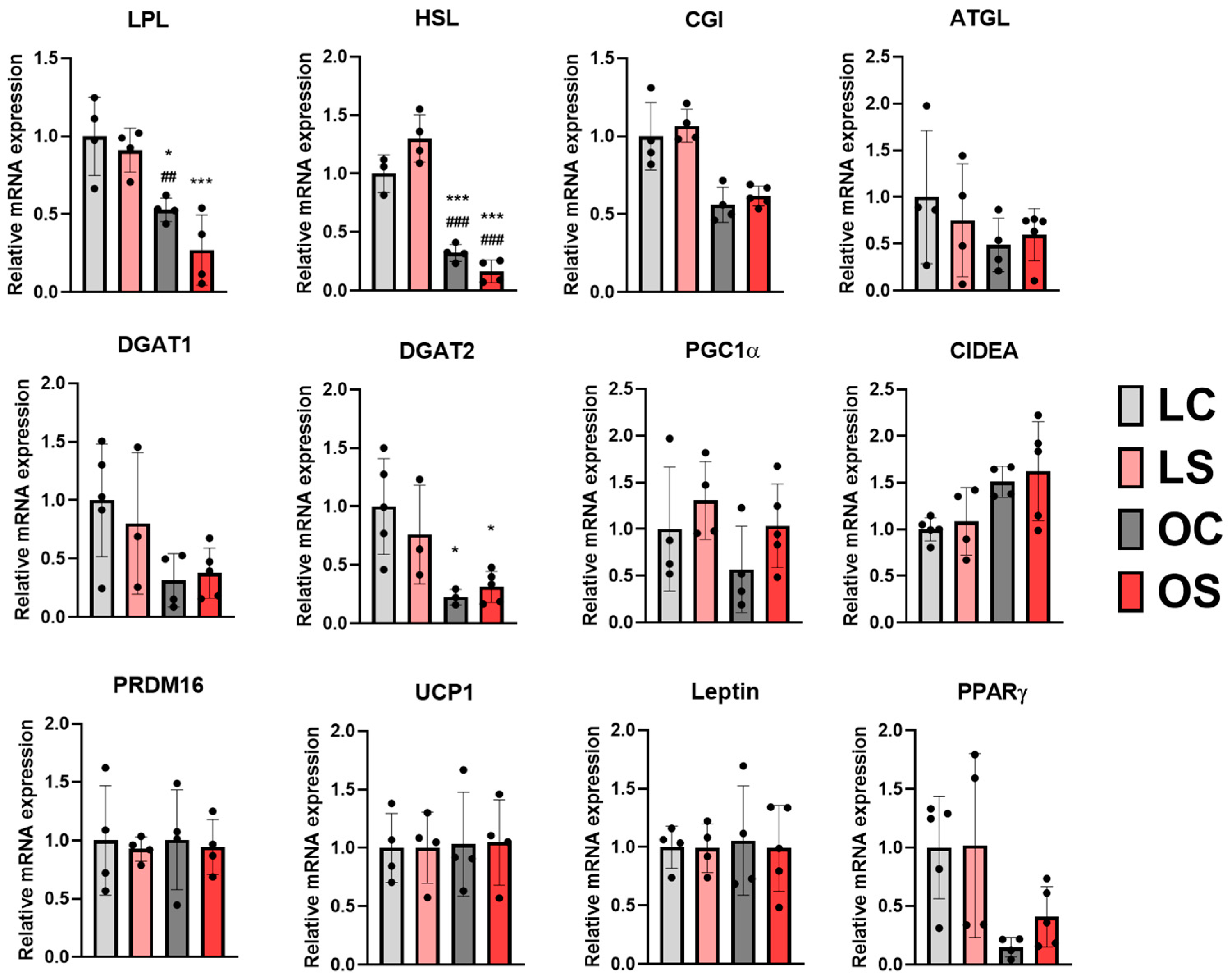 Antioxidants 11 02165 g006
