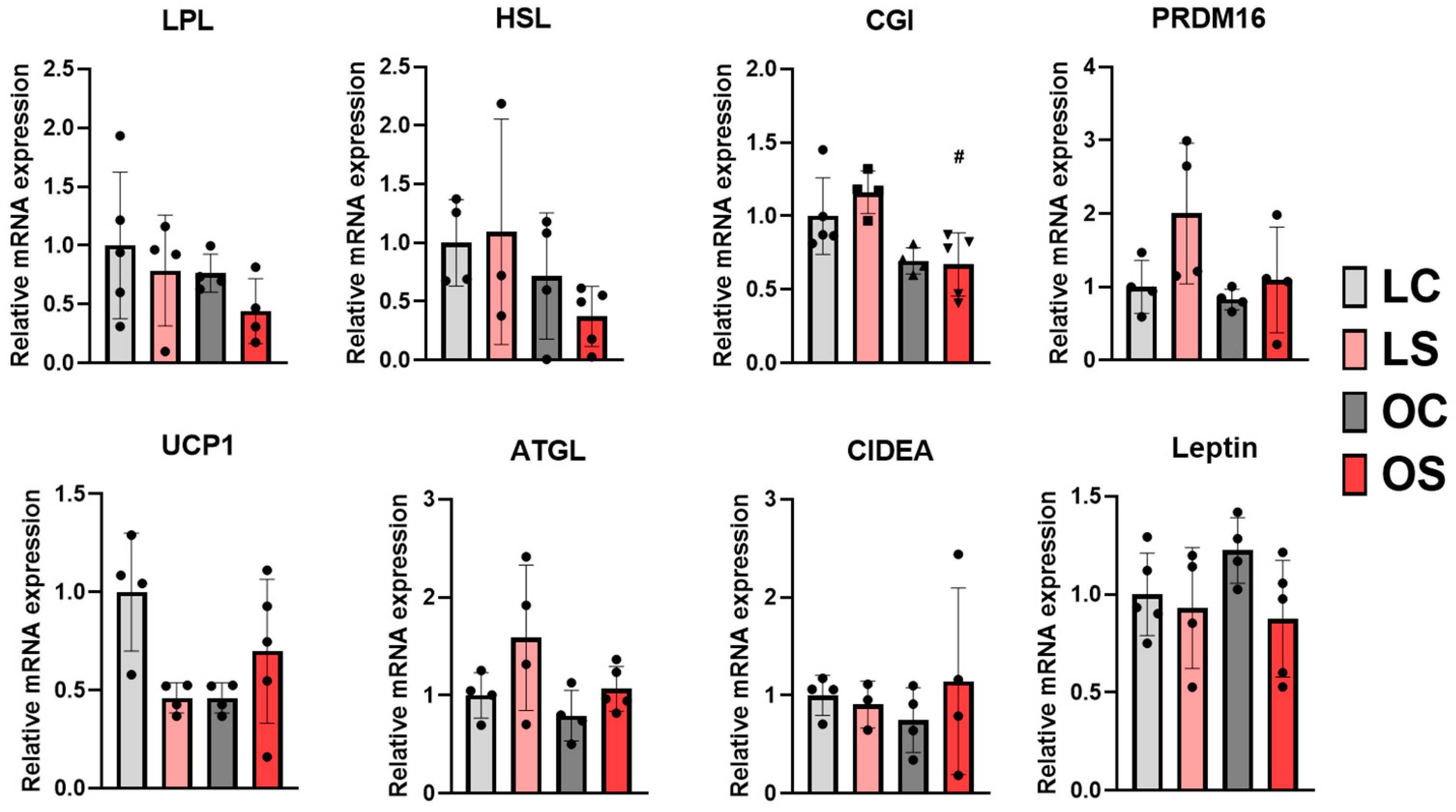 Antioxidants 11 02165 g008