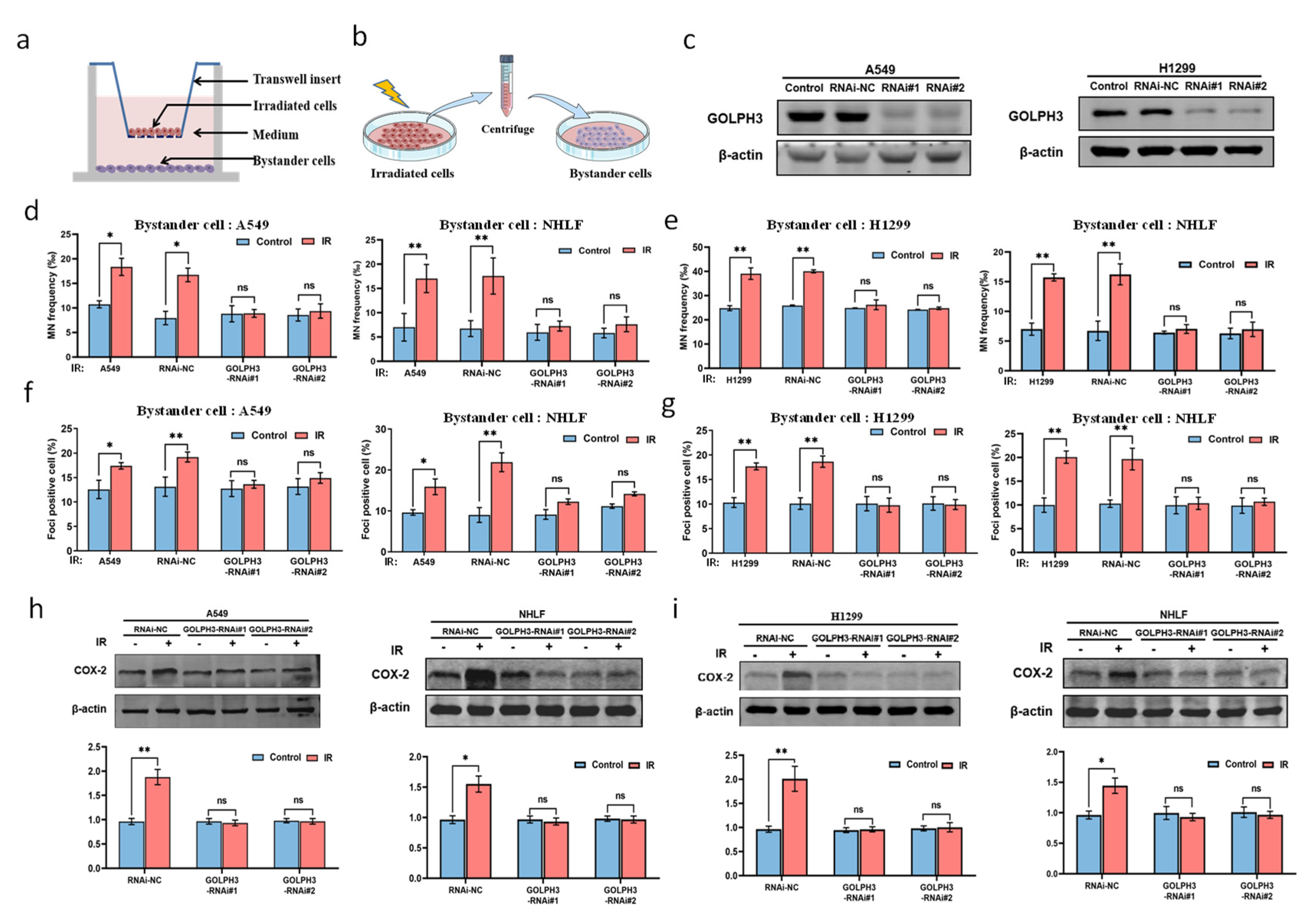 Antioxidants 11 02172 g001