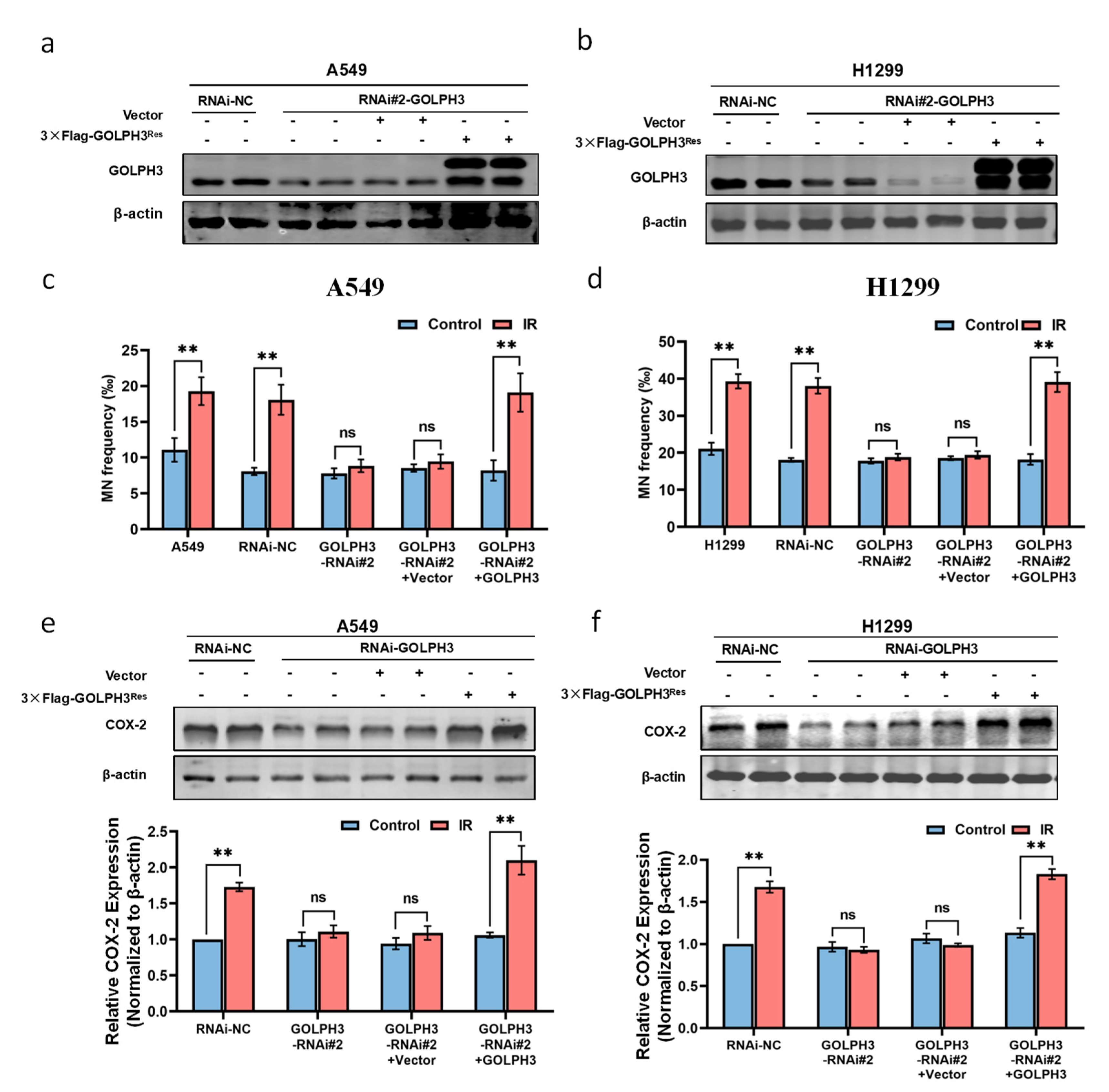 Antioxidants 11 02172 g002