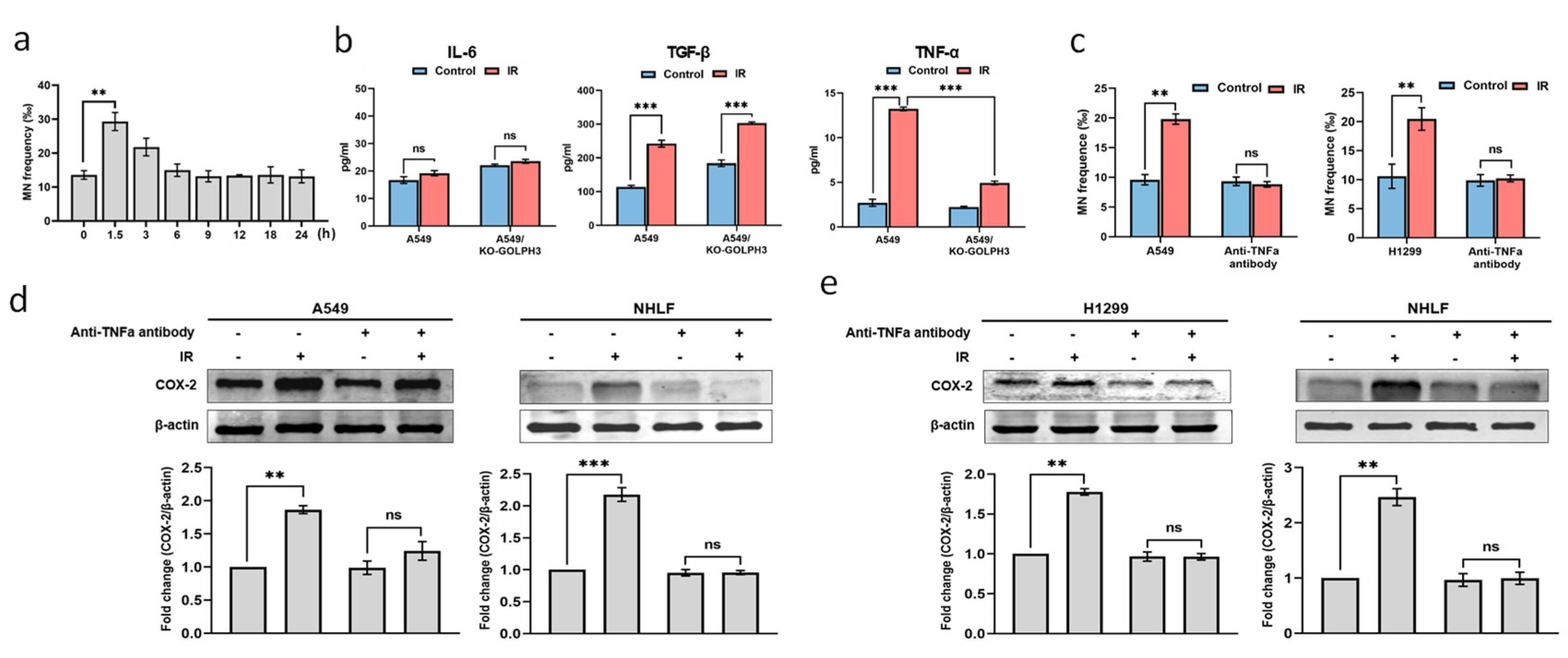 Antioxidants 11 02172 g003