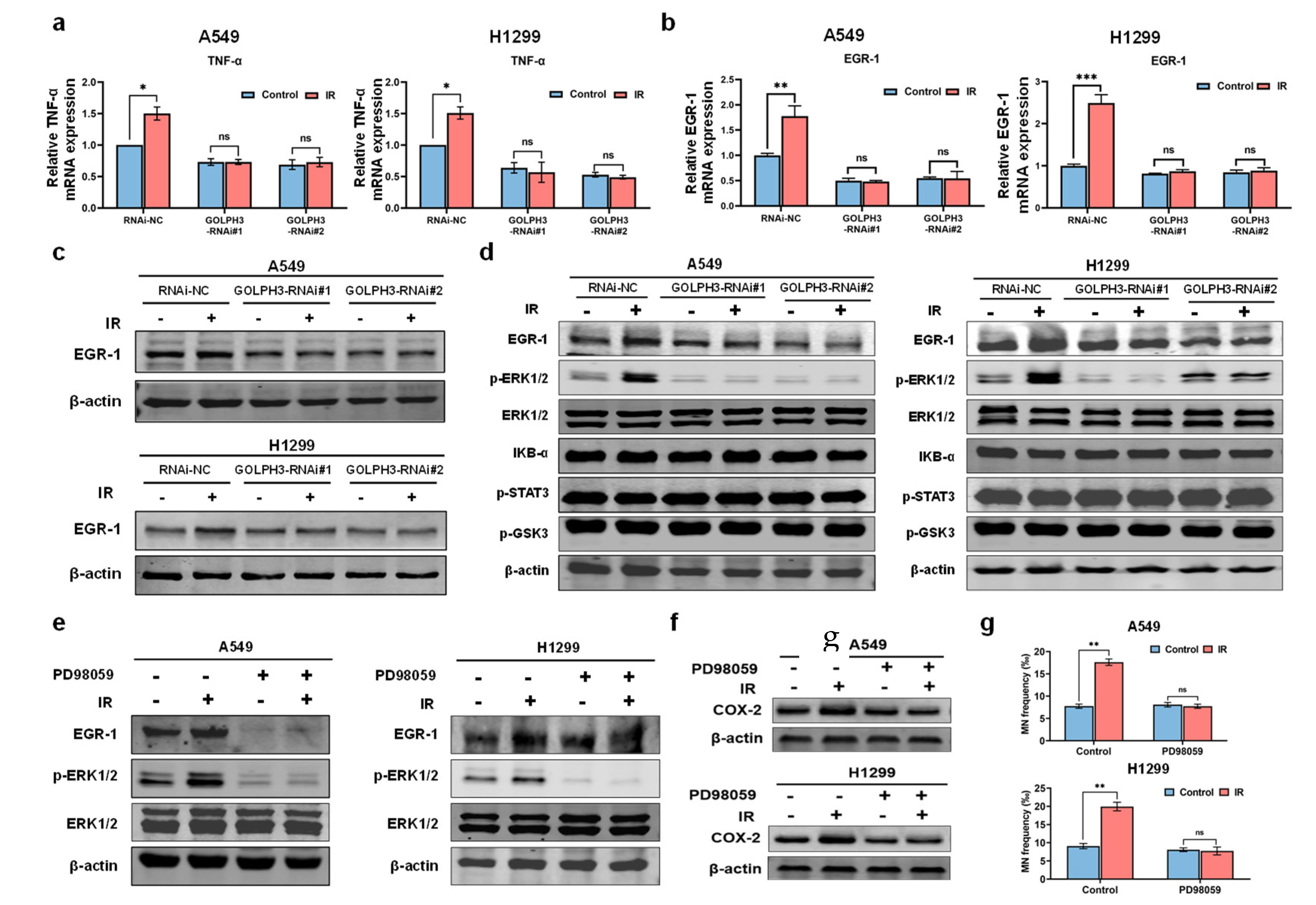 Antioxidants 11 02172 g004