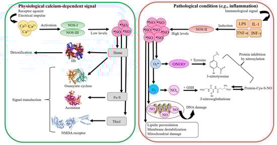 Antioxidants 11 02176 g002