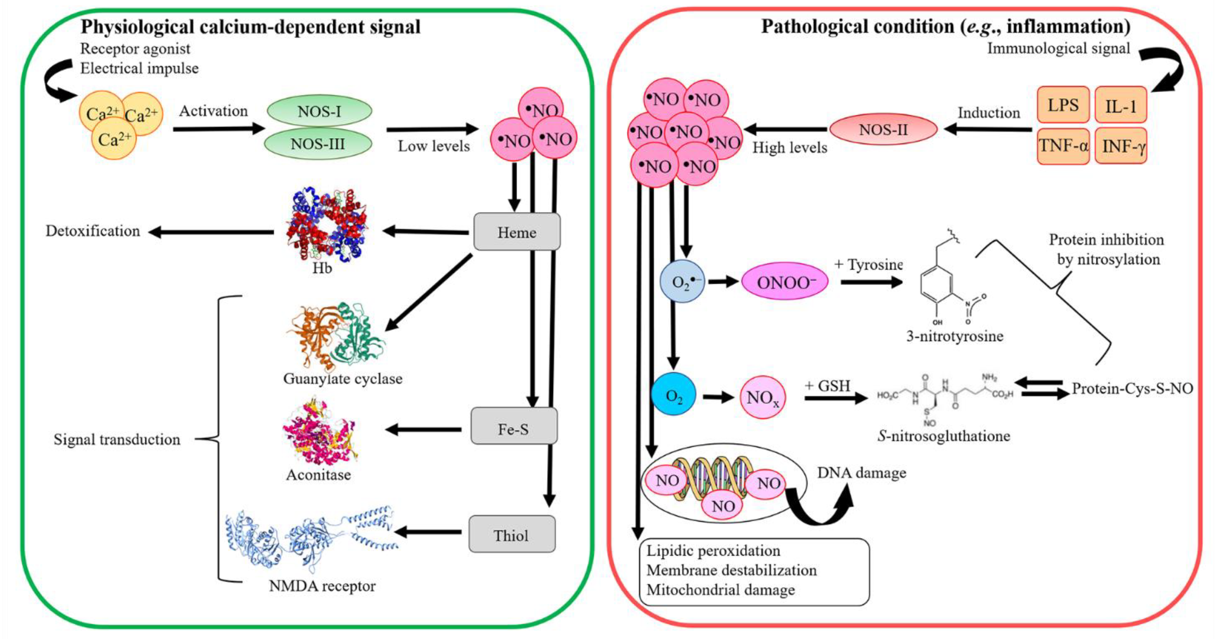 Antioxidants 11 02176 g002
