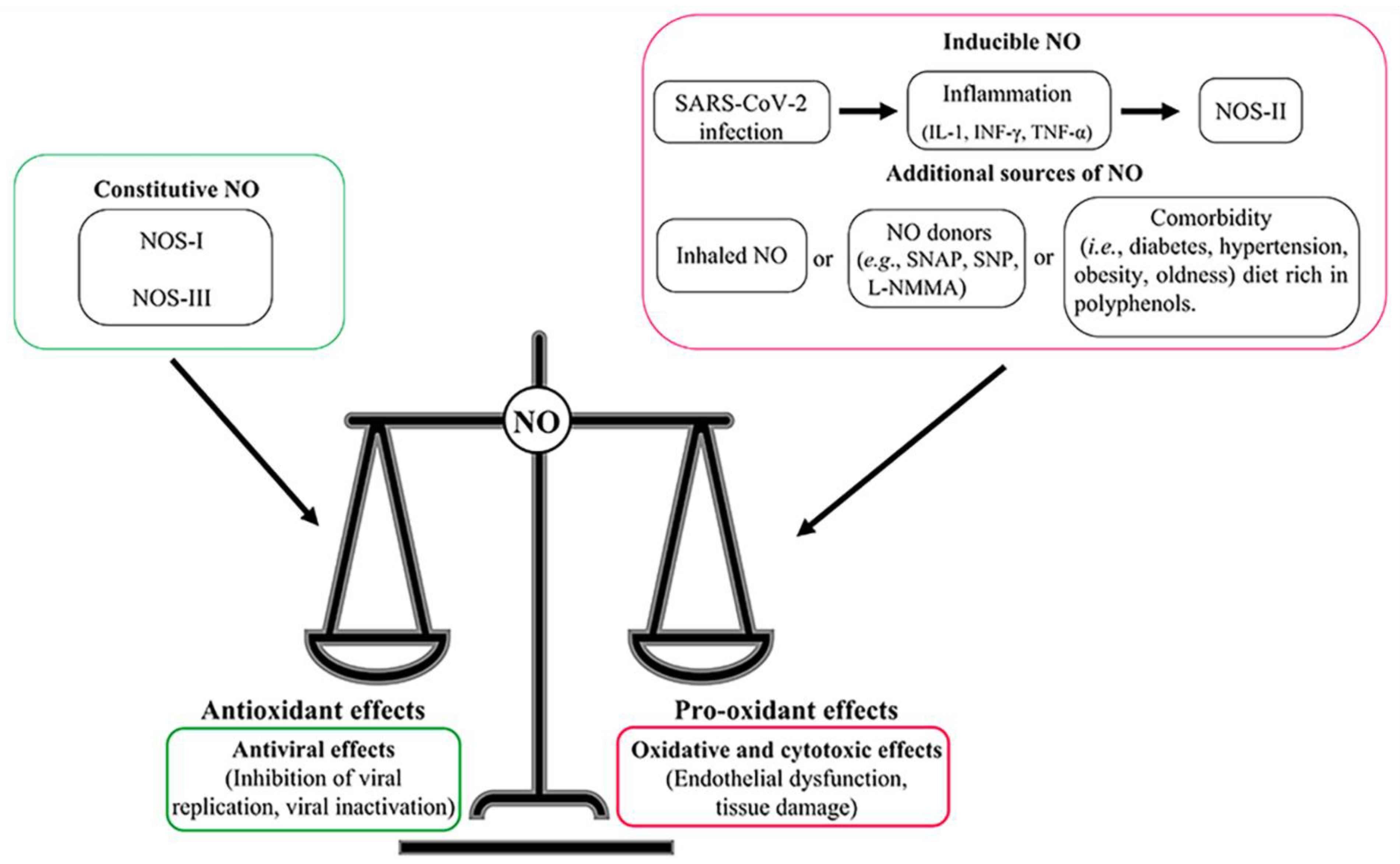 Antioxidants 11 02176 g003