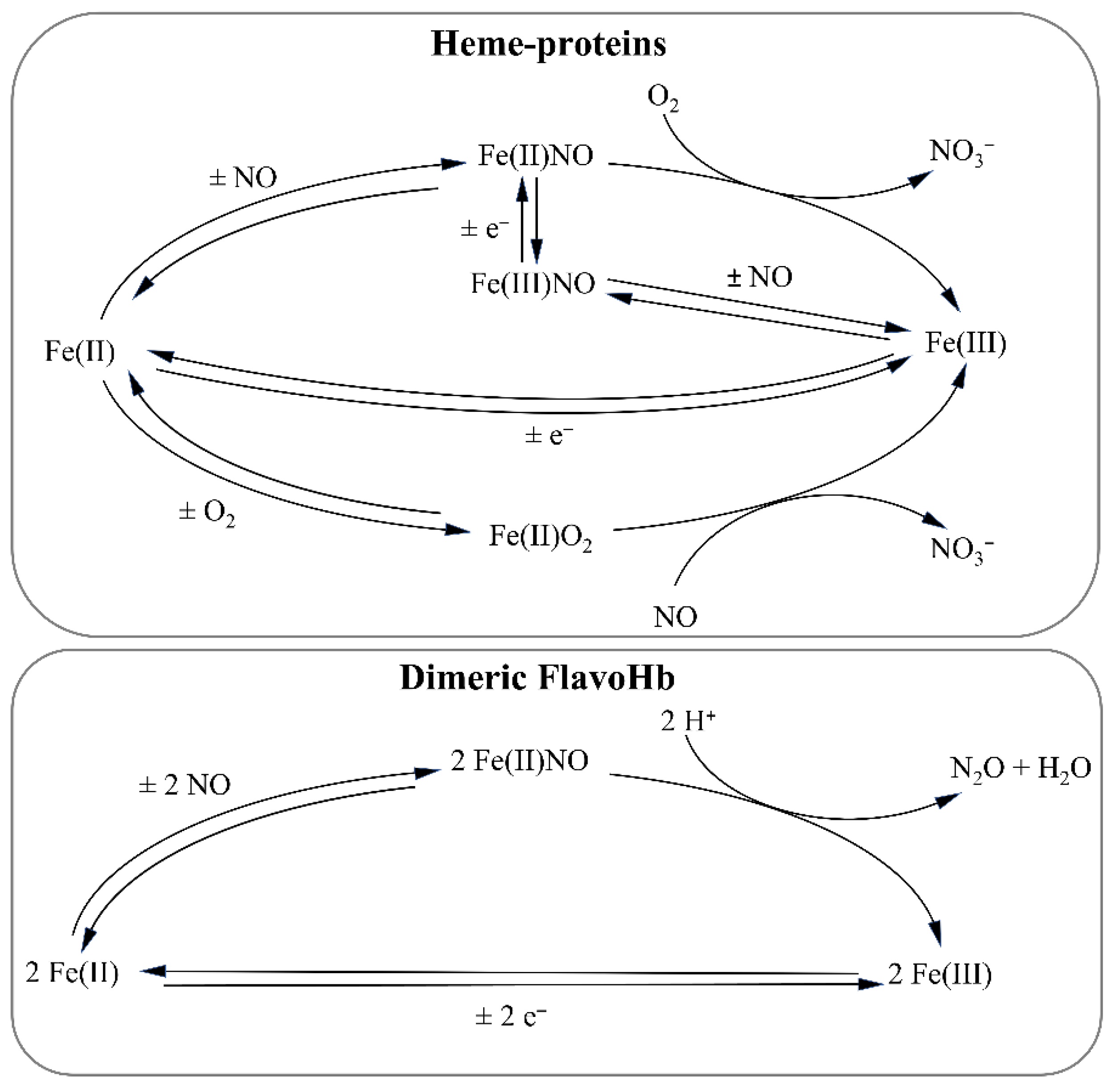 Antioxidants 11 02176 g004