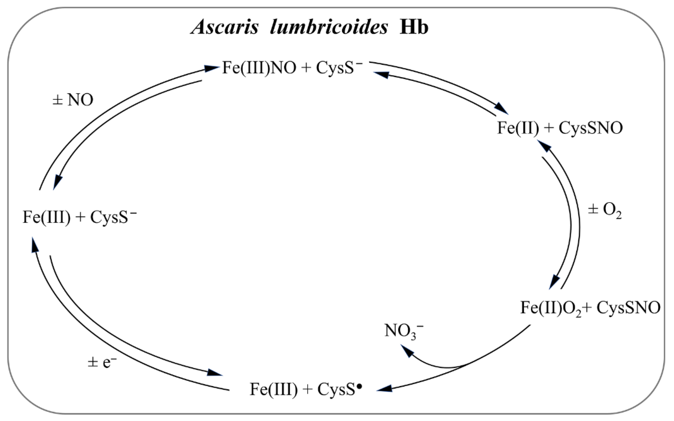 Antioxidants 11 02176 g005