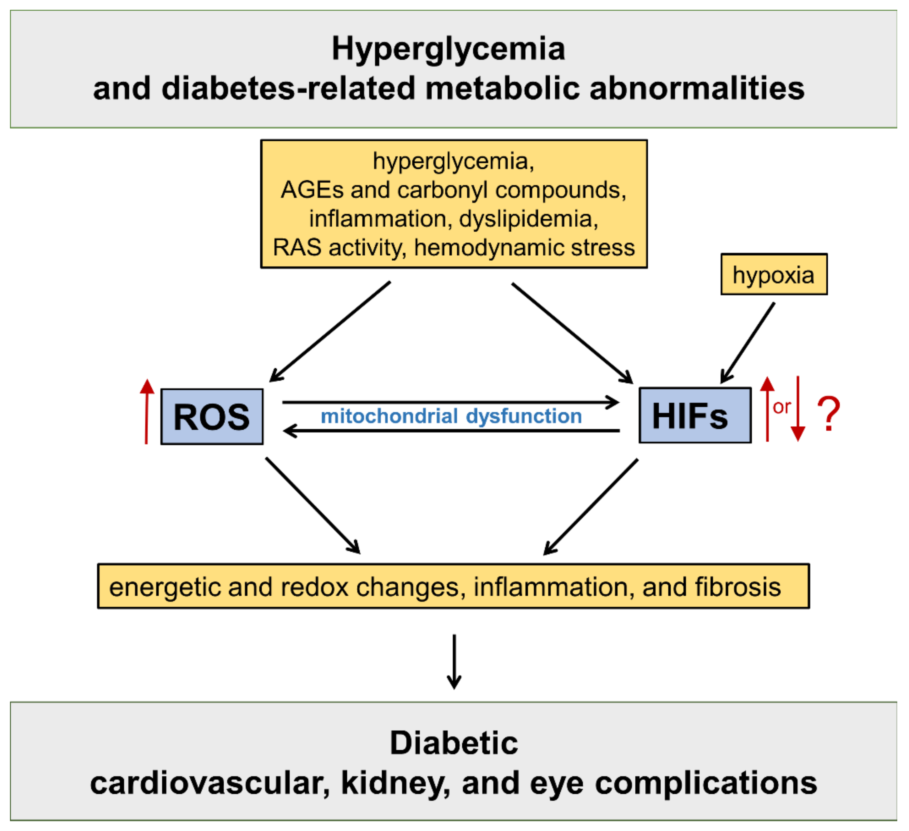 Antioxidants 11 02183 g001