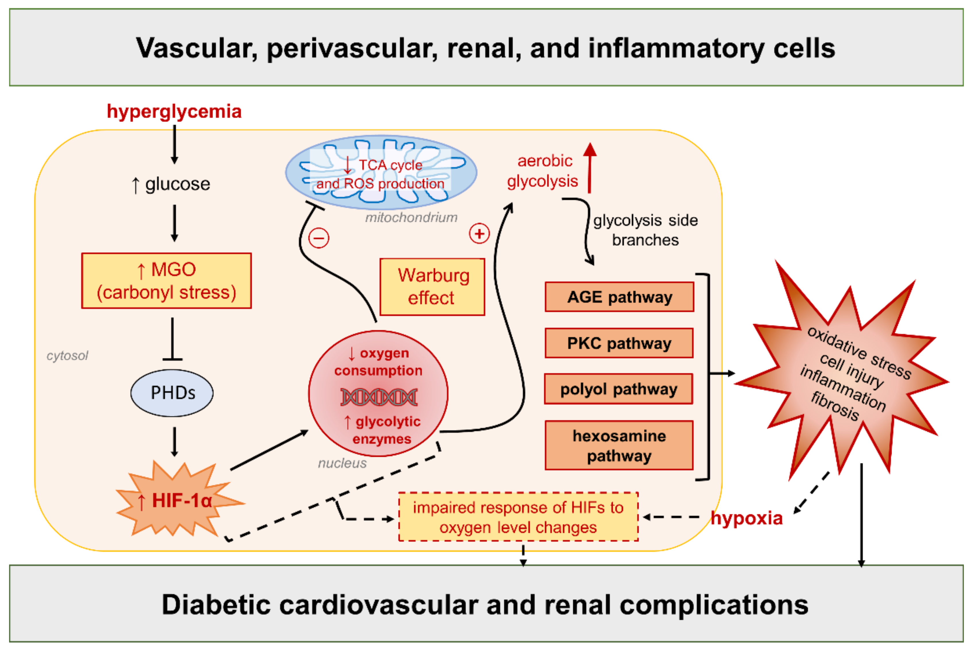 Antioxidants 11 02183 g004
