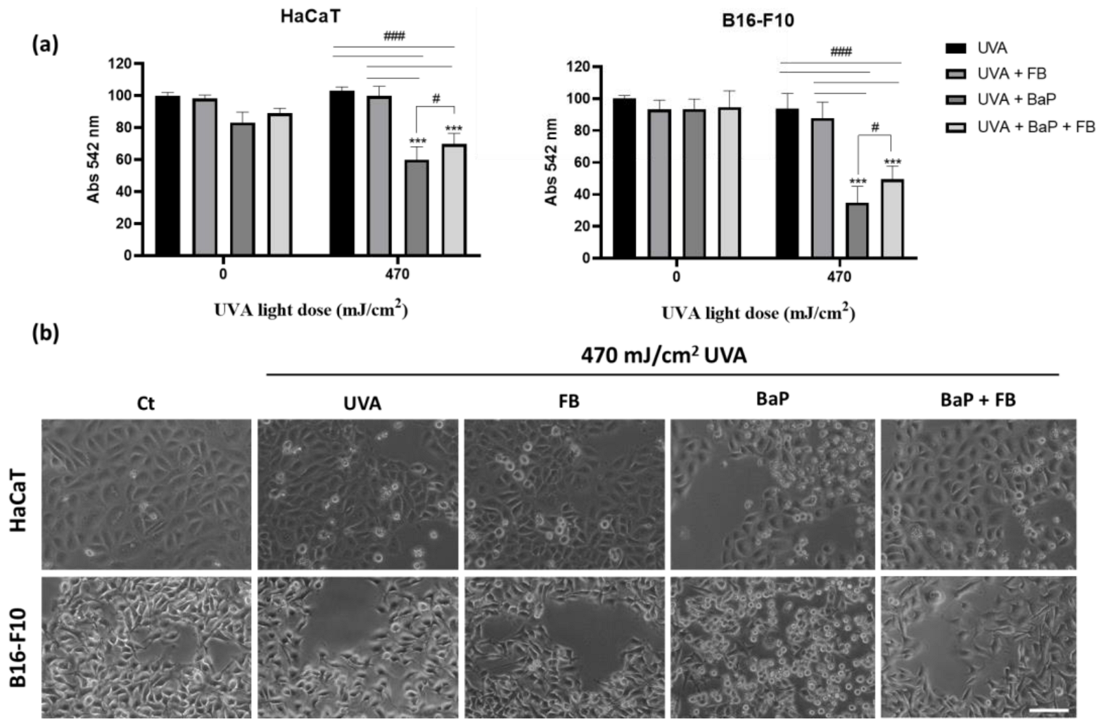 Antioxidants 11 02185 g002 Antioxidants 11 02185 g002