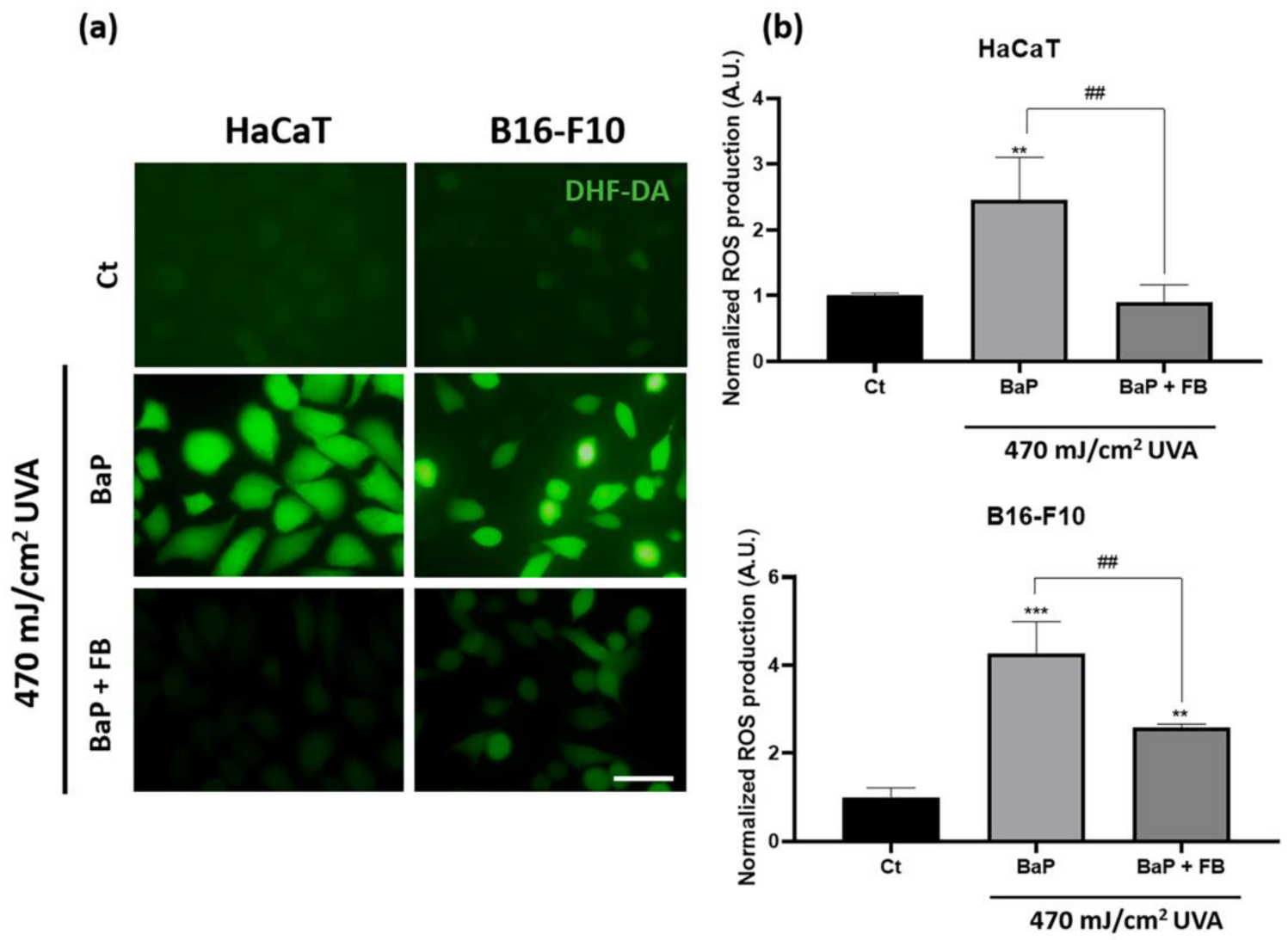 Antioxidants 11 02185 g003 Antioxidants 11 02185 g003