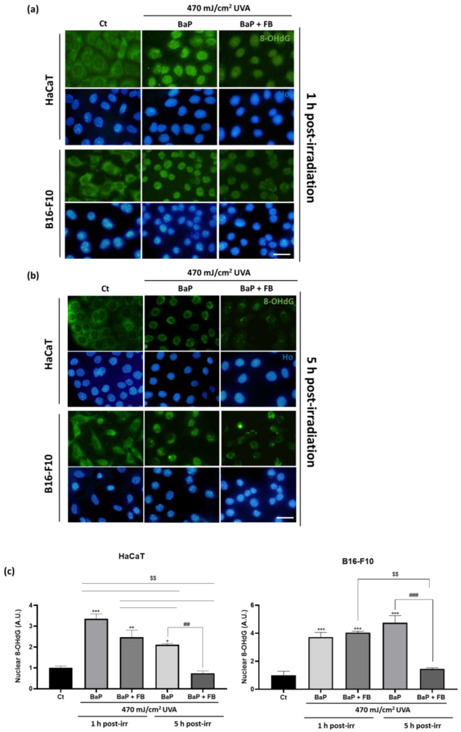 Antioxidants 11 02185 g007 Antioxidants 11 02185 g007