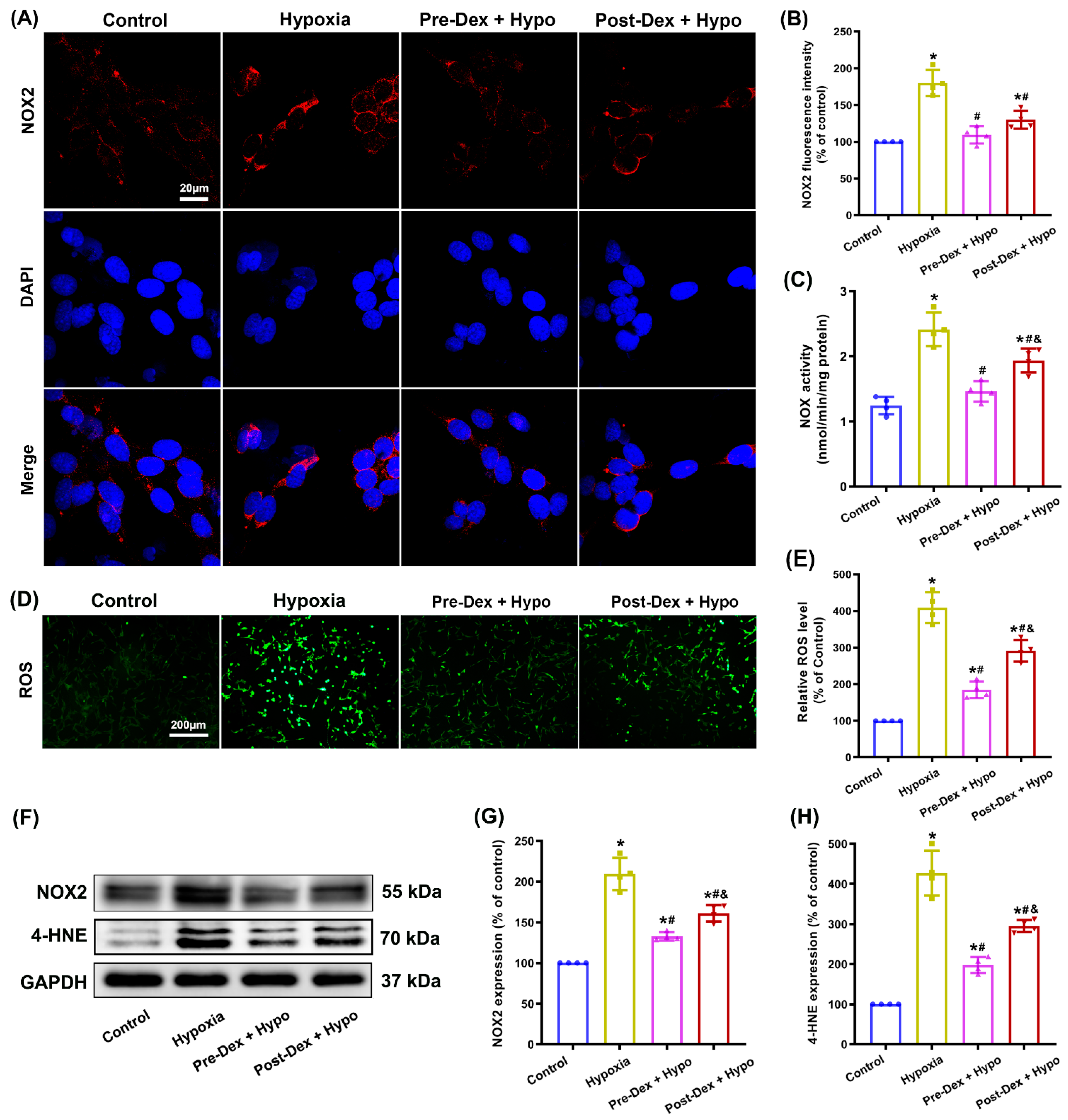 Antioxidants 11 02199 g003