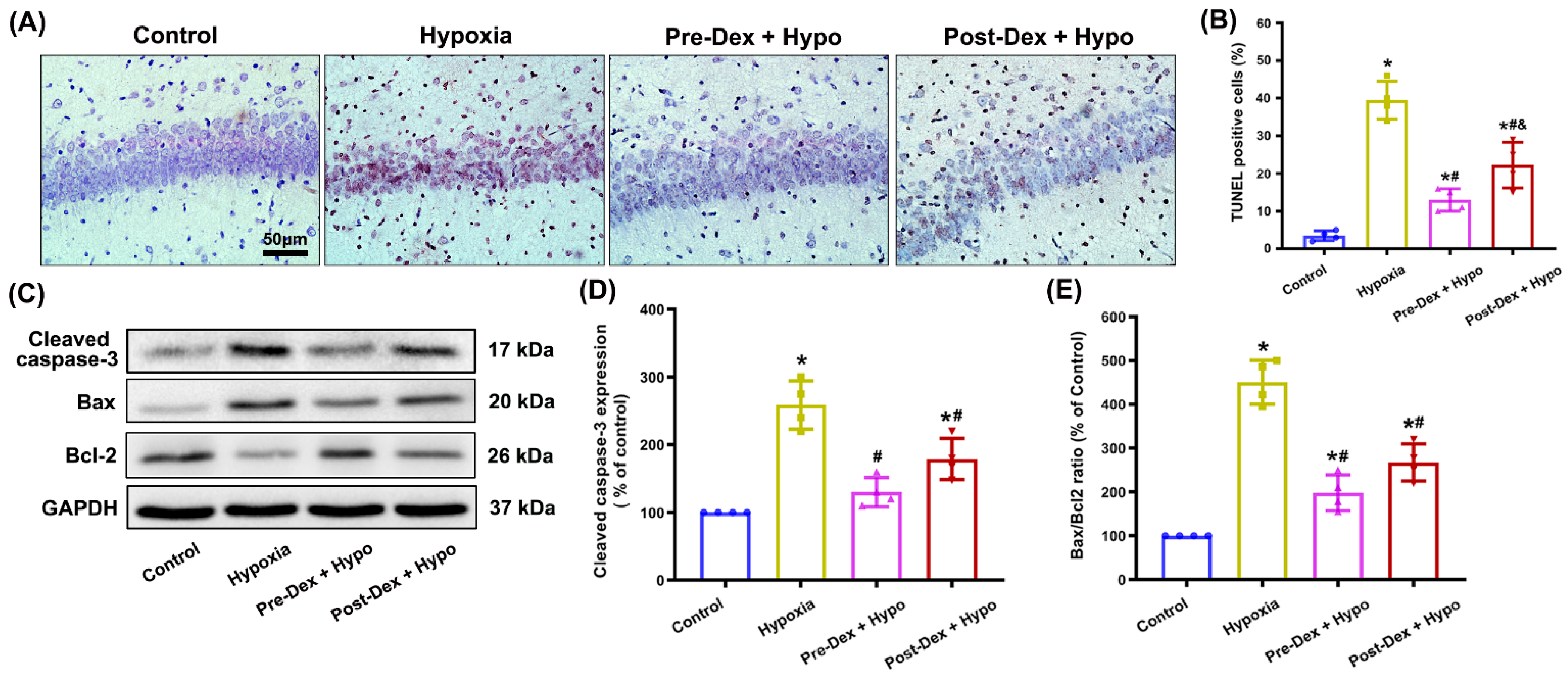 Antioxidants 11 02199 g004