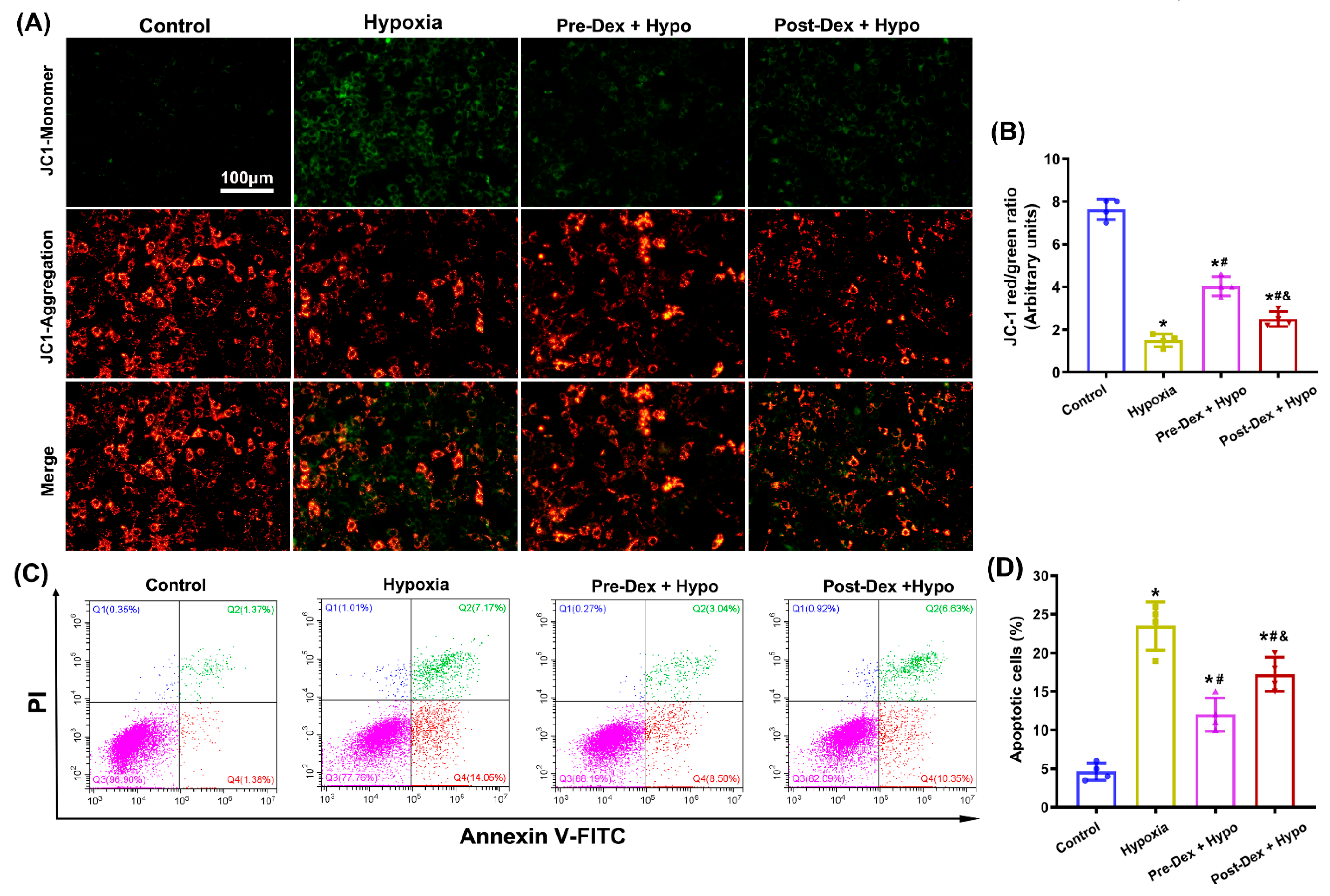 Antioxidants 11 02199 g005
