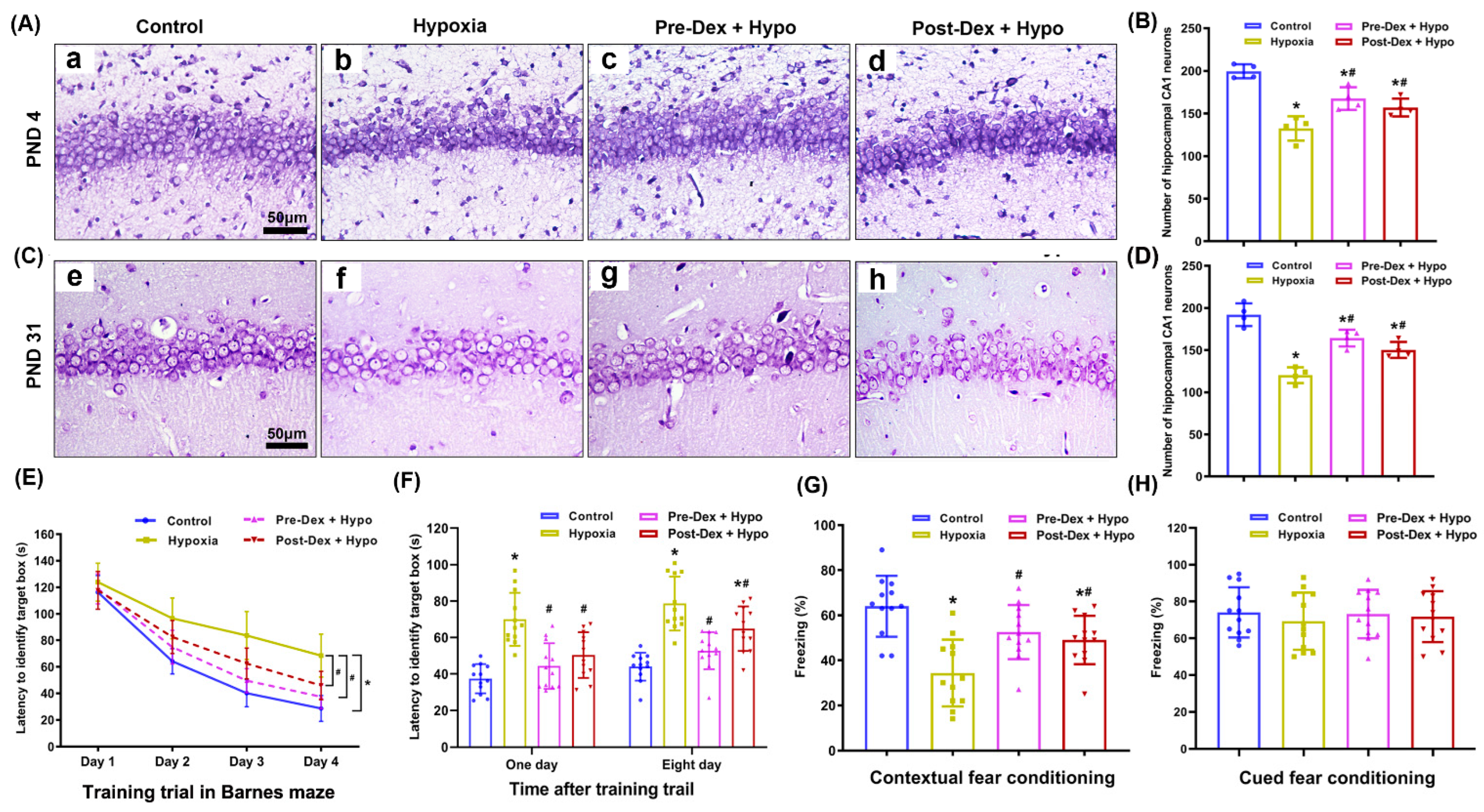 Antioxidants 11 02199 g006