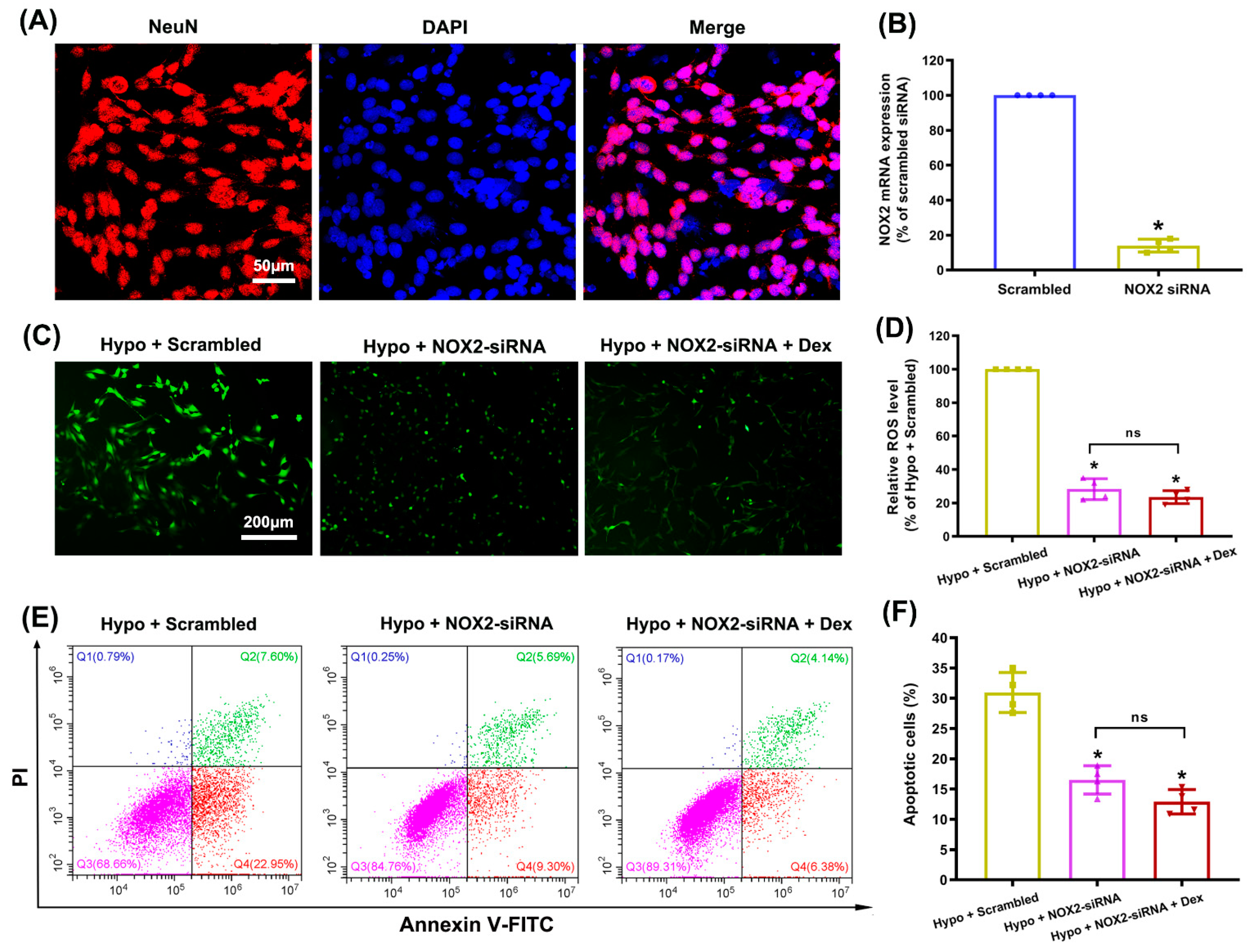 Antioxidants 11 02199 g008