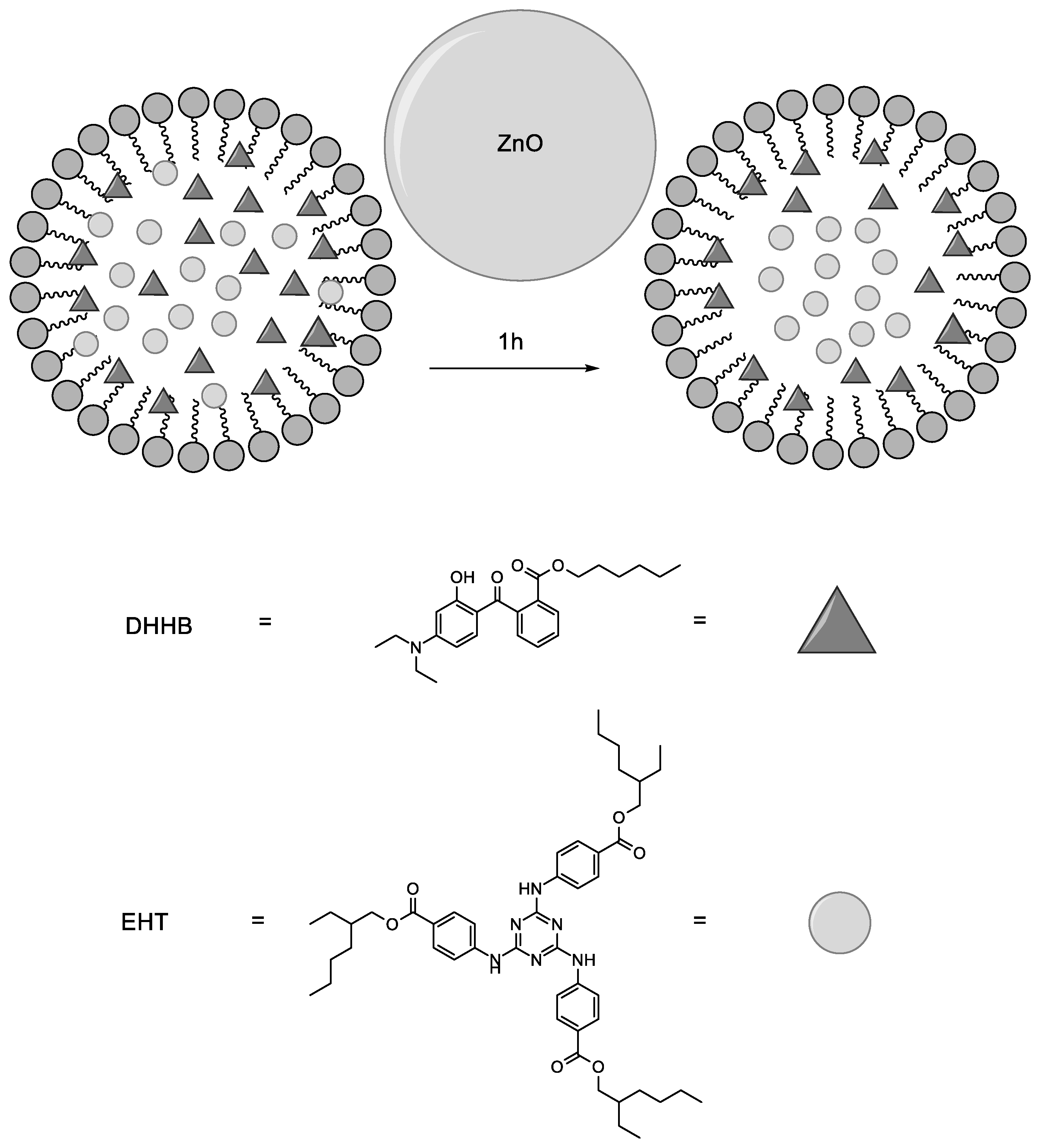 Antioxidants 11 02209 g012 Antioxidants 11 02209 g012