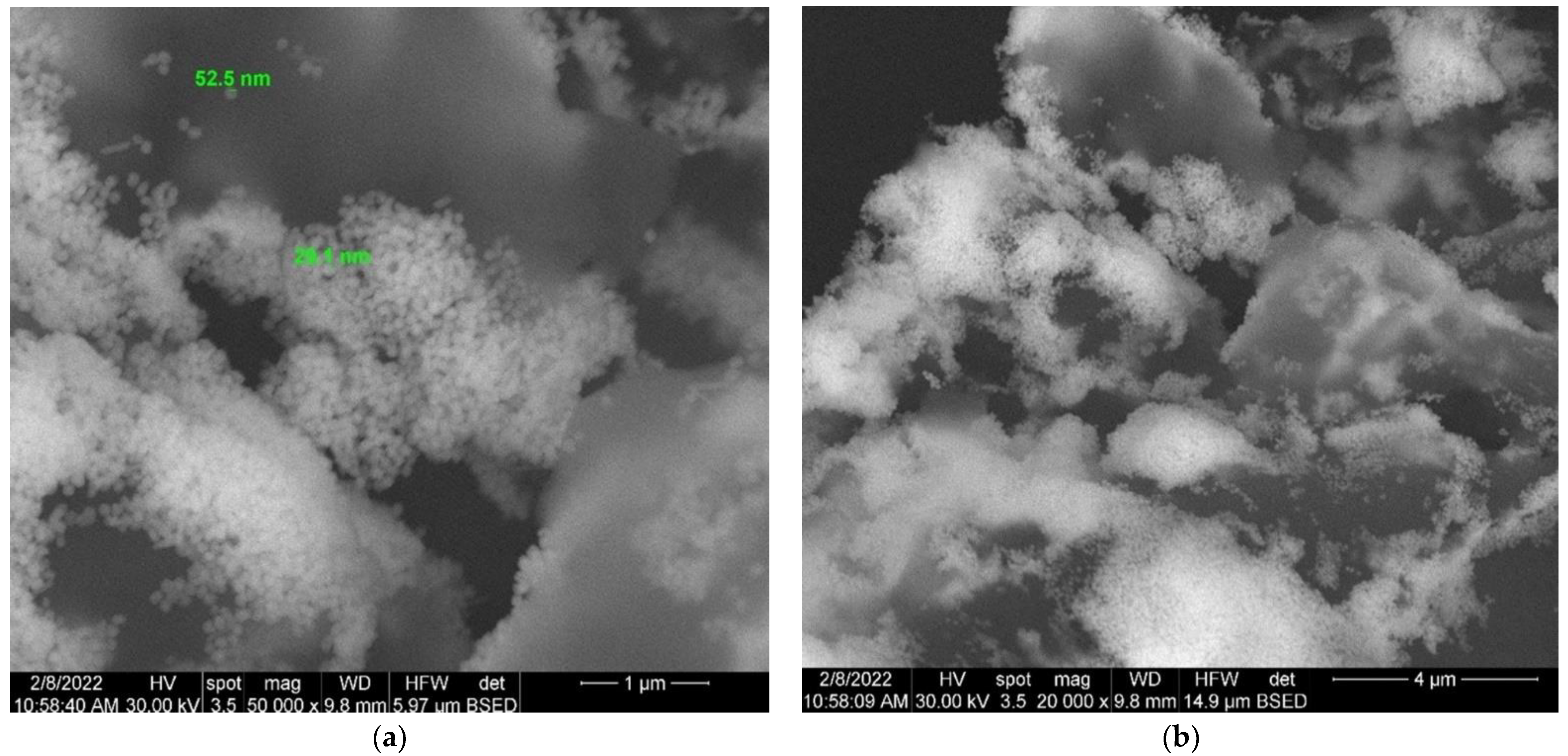 Antioxidants 11 02261 g009