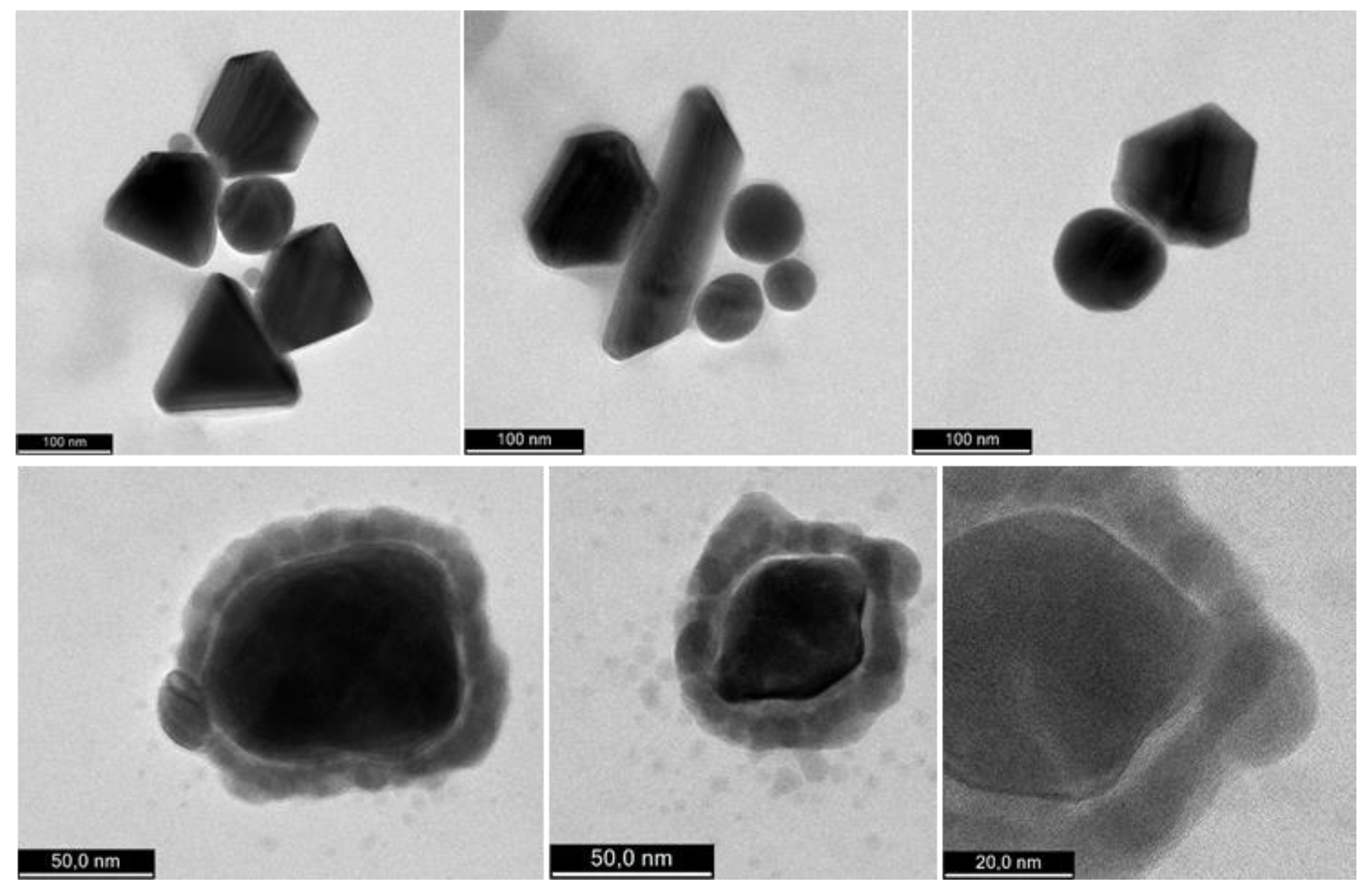 Antioxidants 11 02261 g012