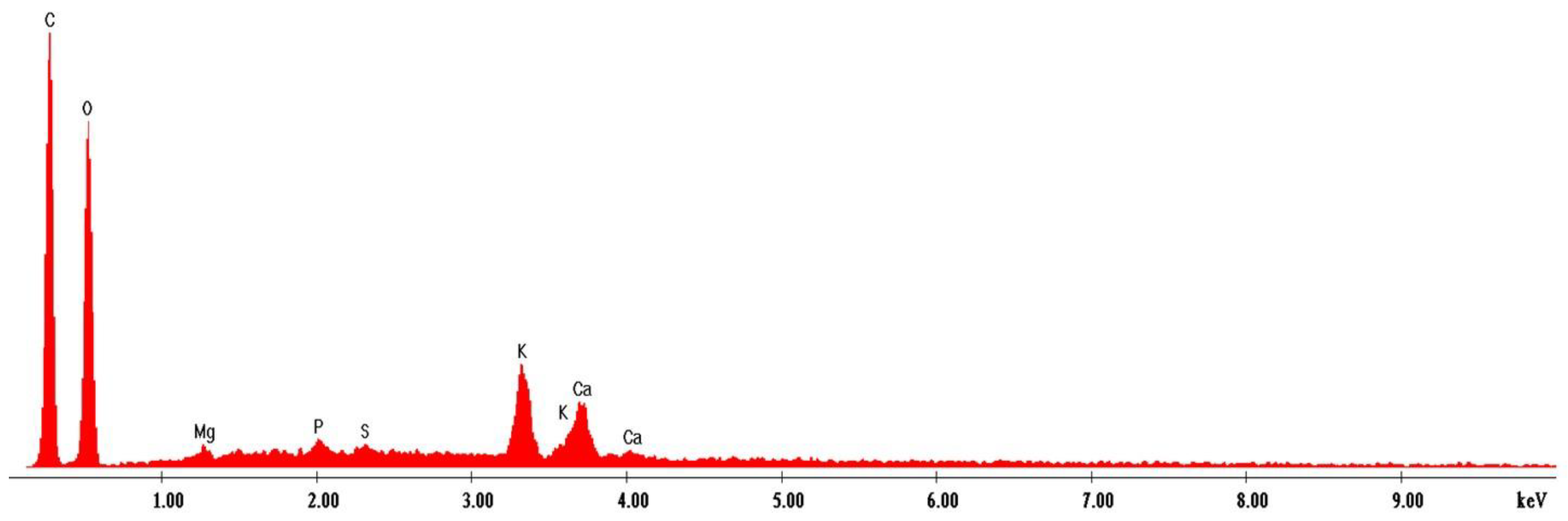 Antioxidants 11 02261 g013