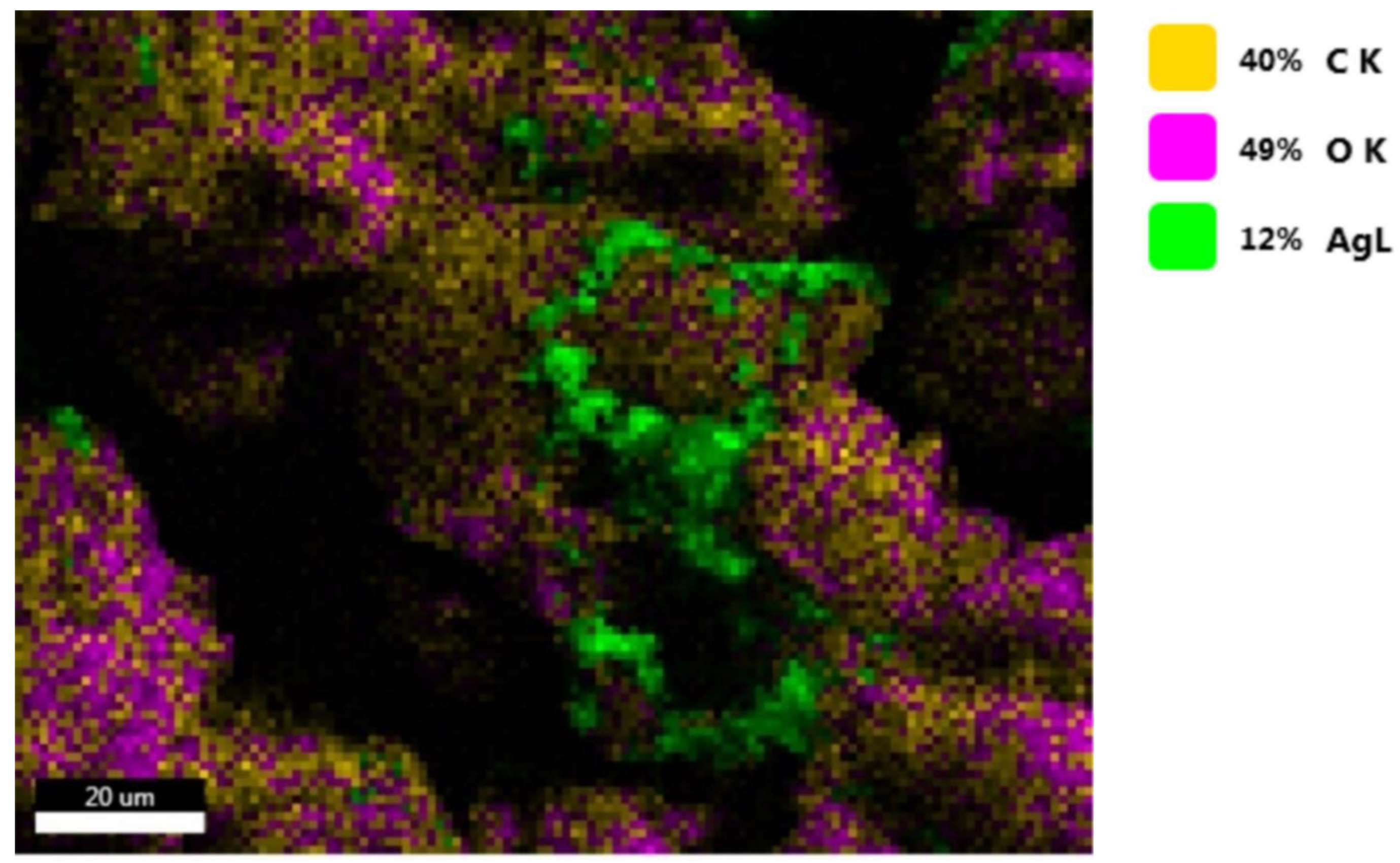 Antioxidants 11 02261 g016
