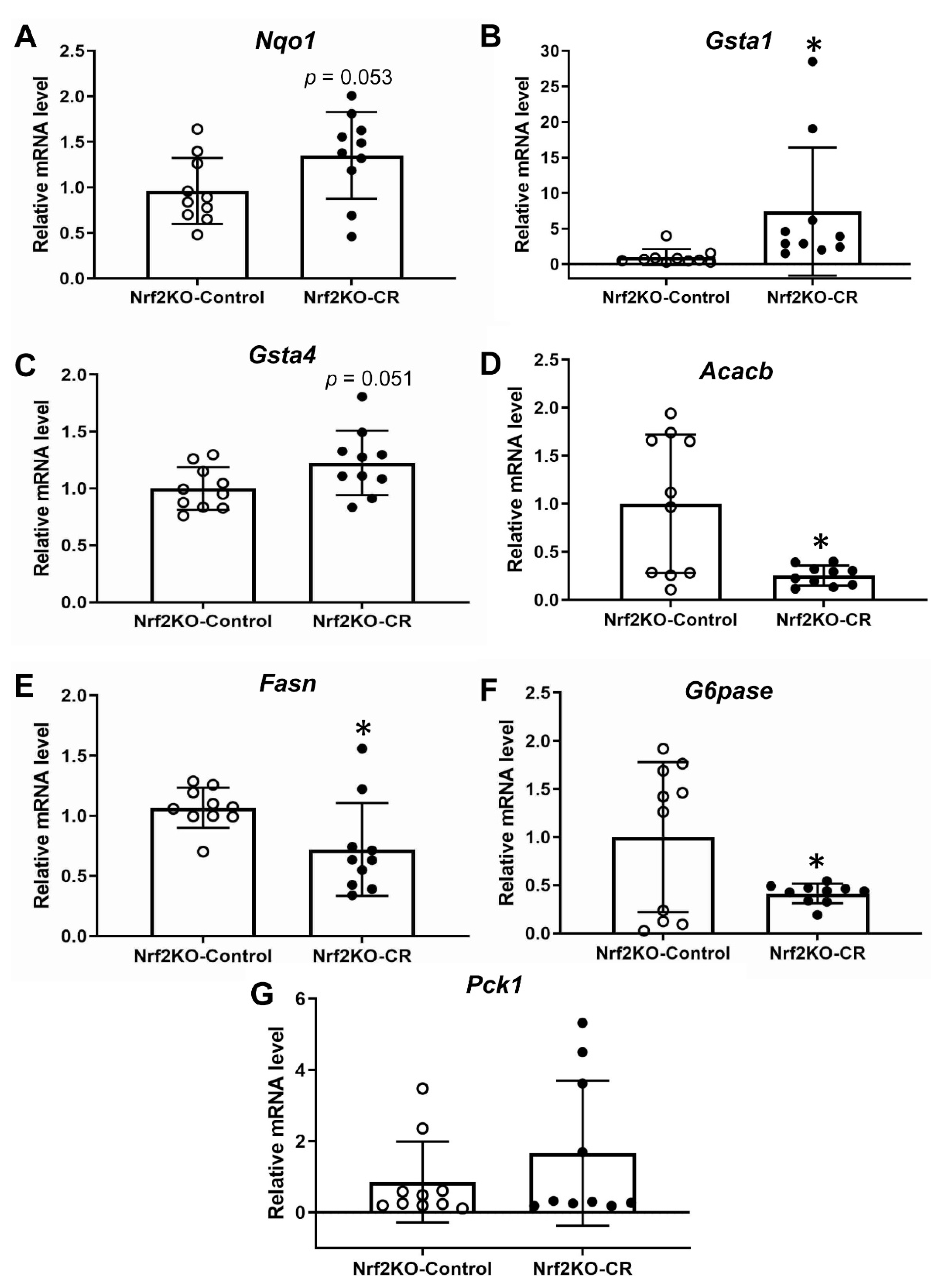 Antioxidants 11 02274 g006