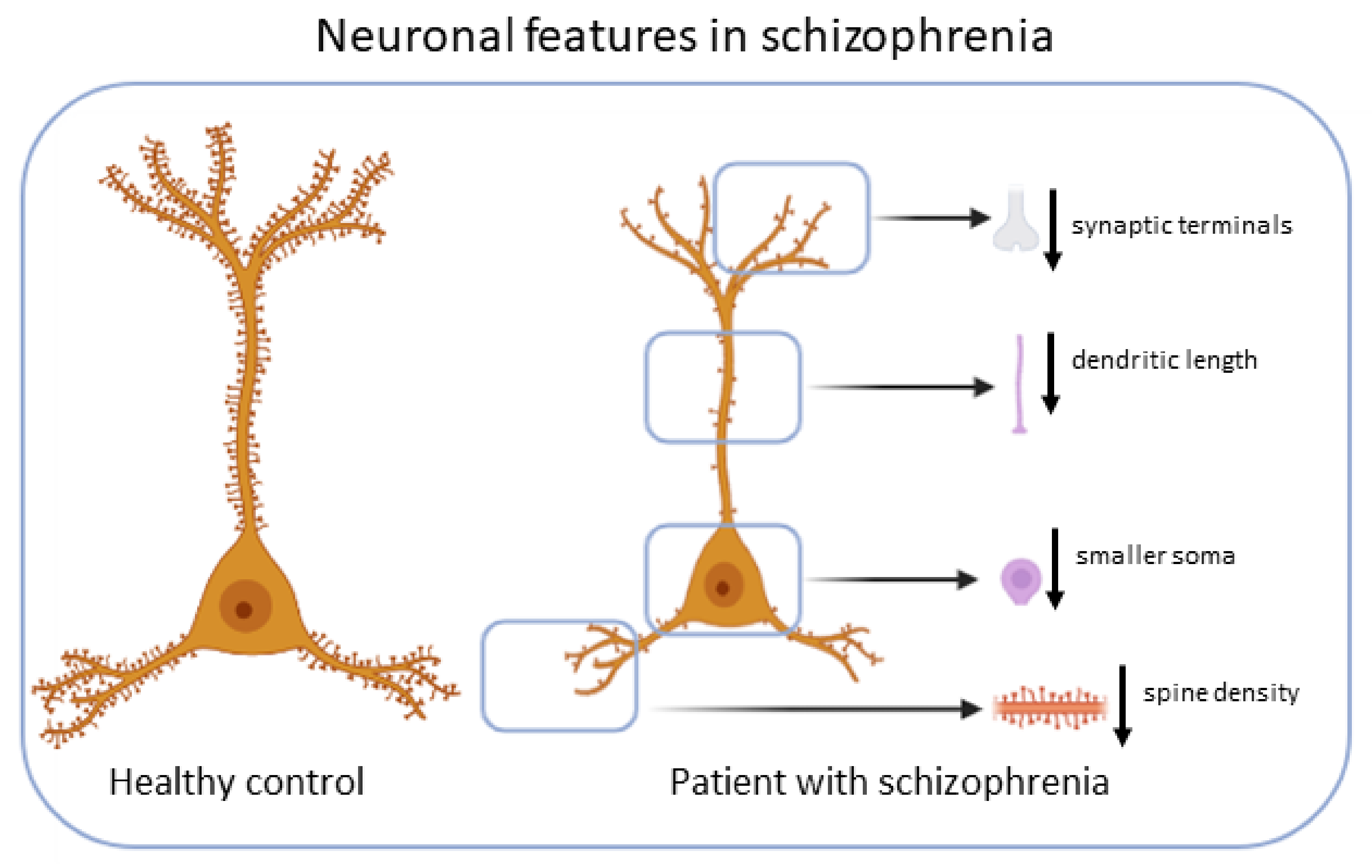 Antioxidants 11 02275 g001