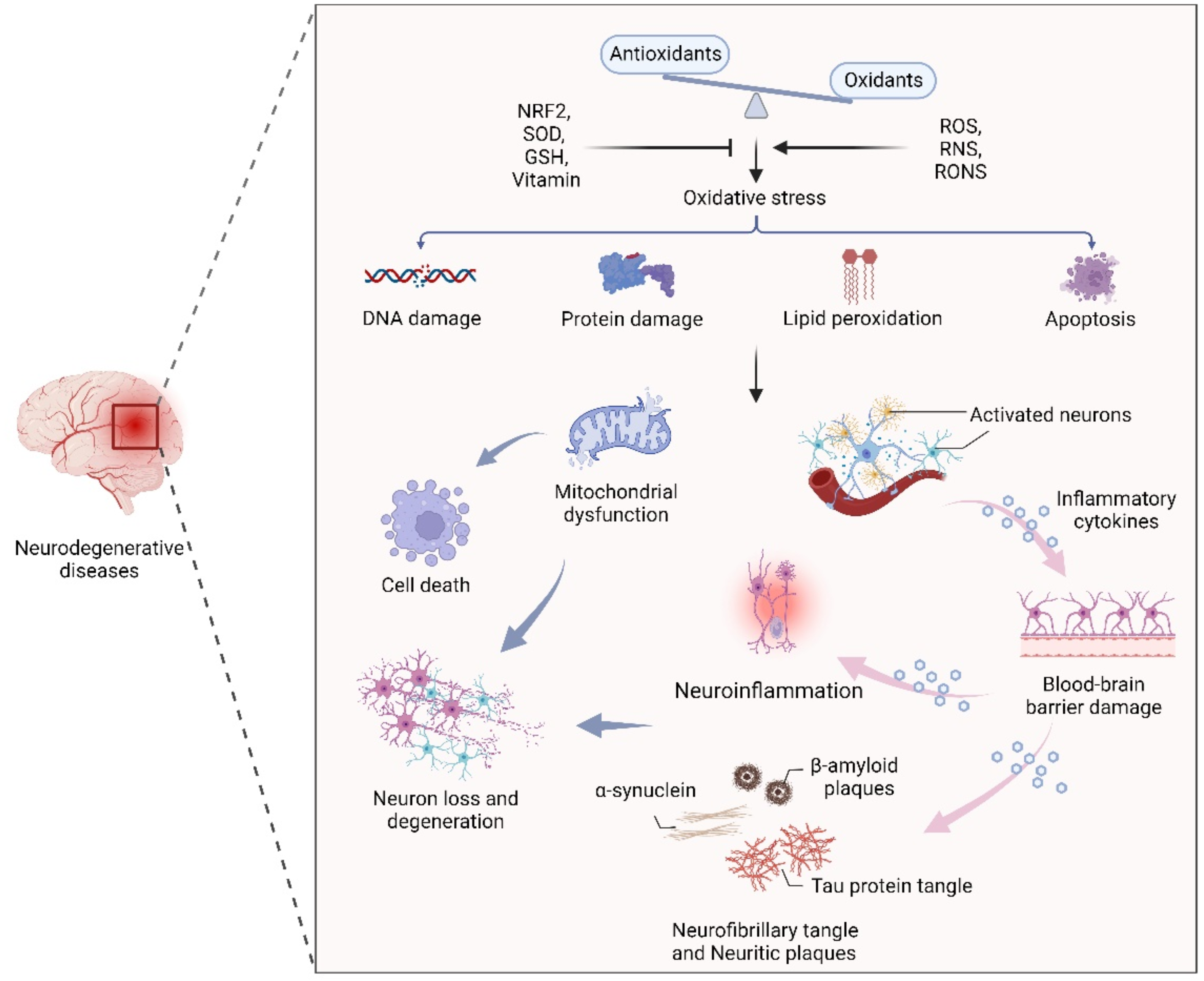 Antioxidants 11 02287 g001