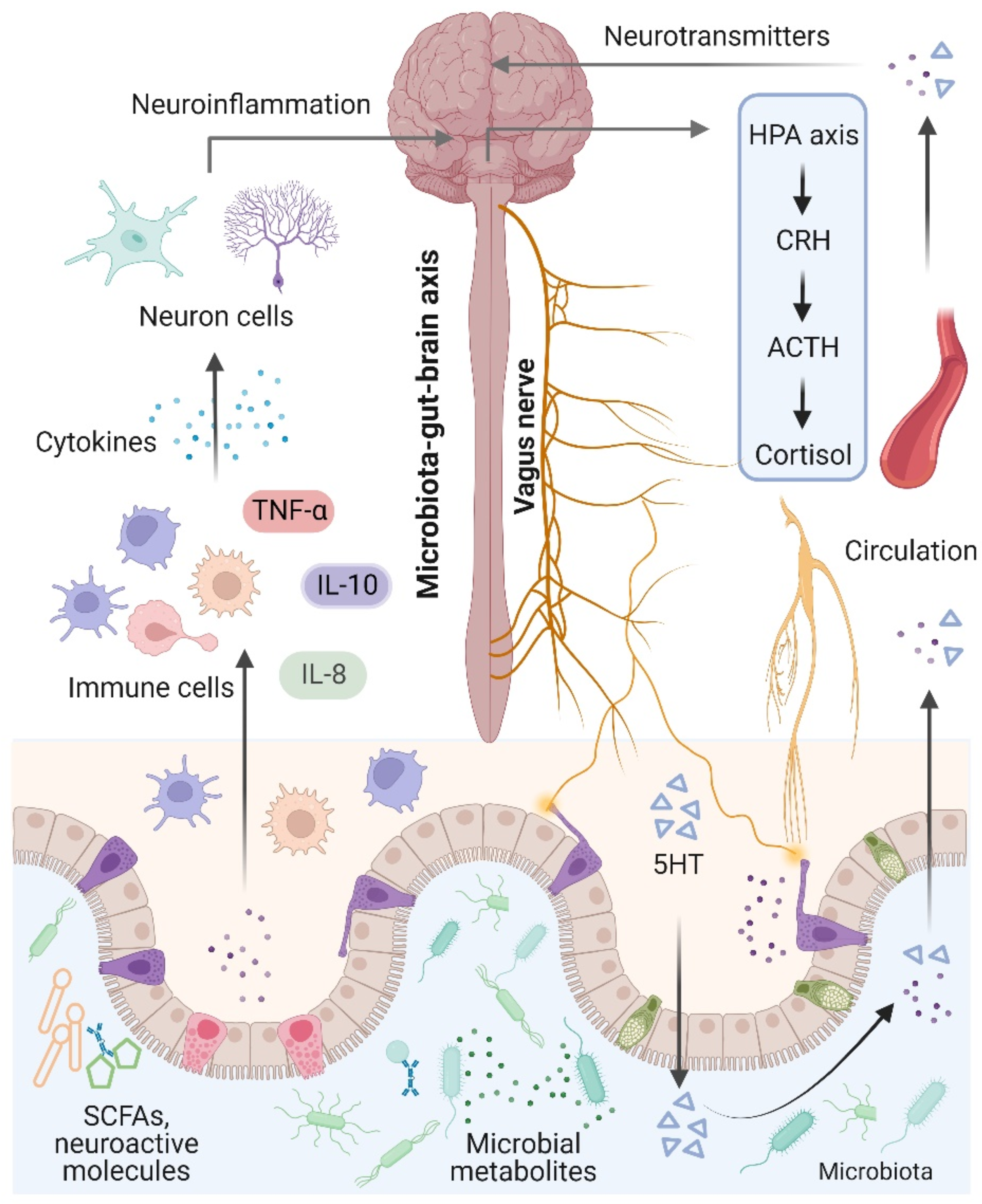 Antioxidants 11 02287 g002