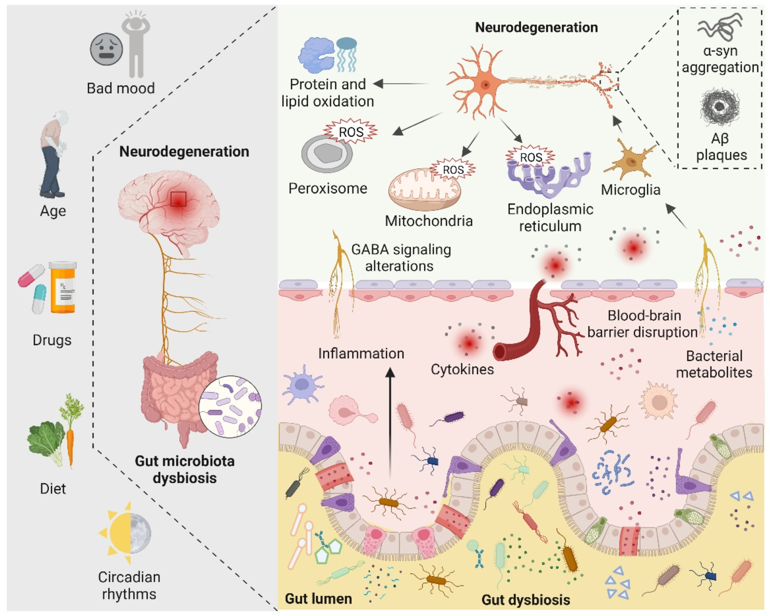 Antioxidants 11 02287 g003