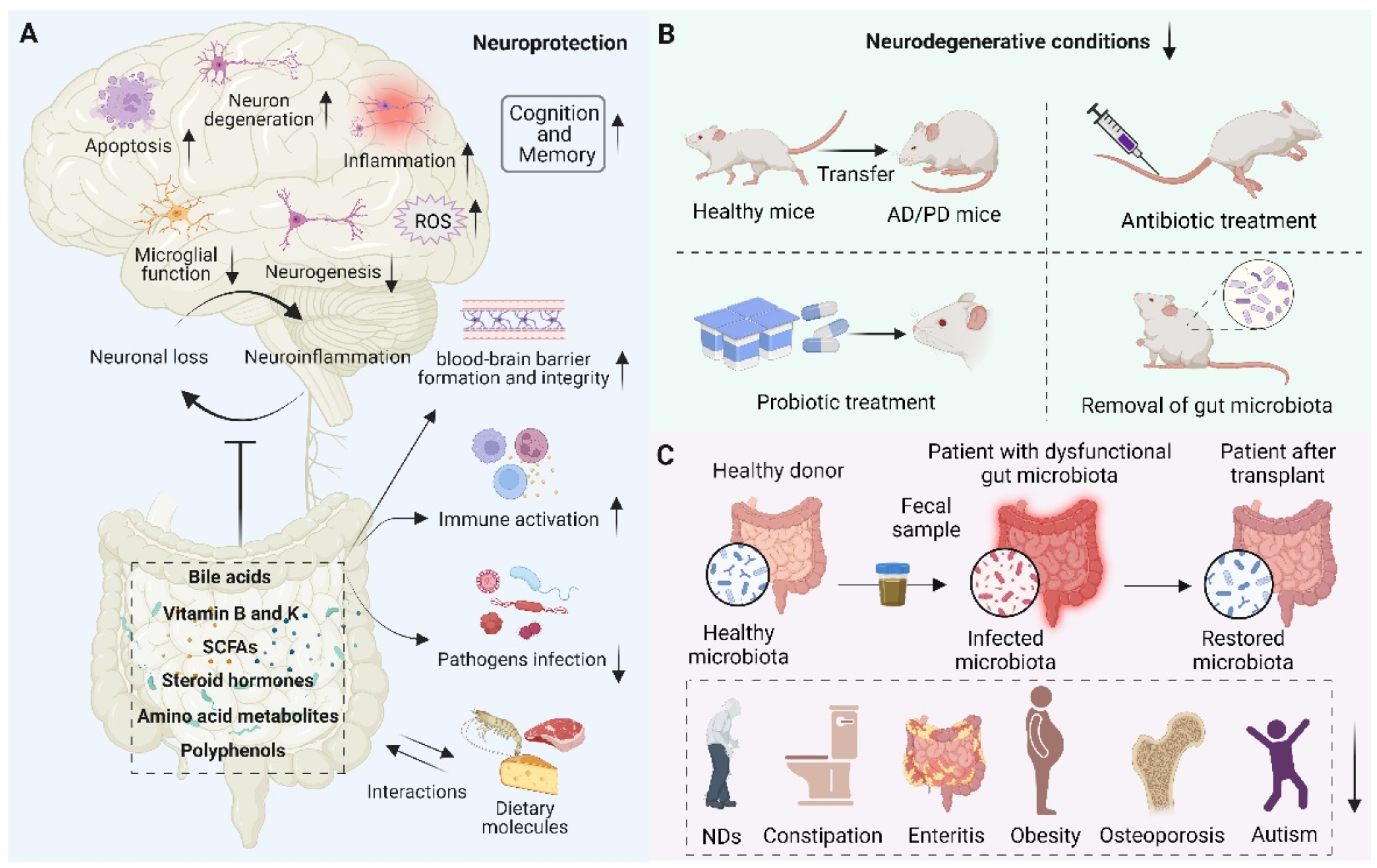 Antioxidants 11 02287 g004