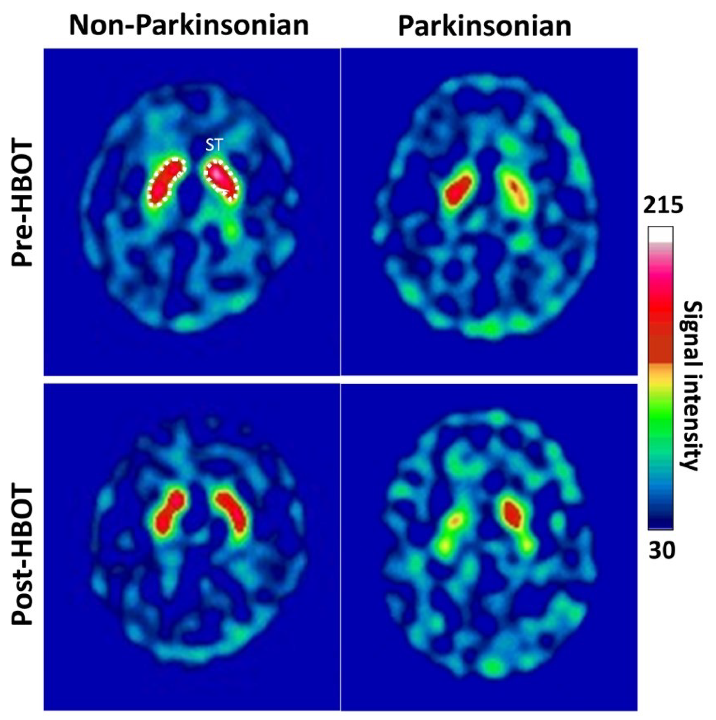 Antioxidants 11 02289 g003