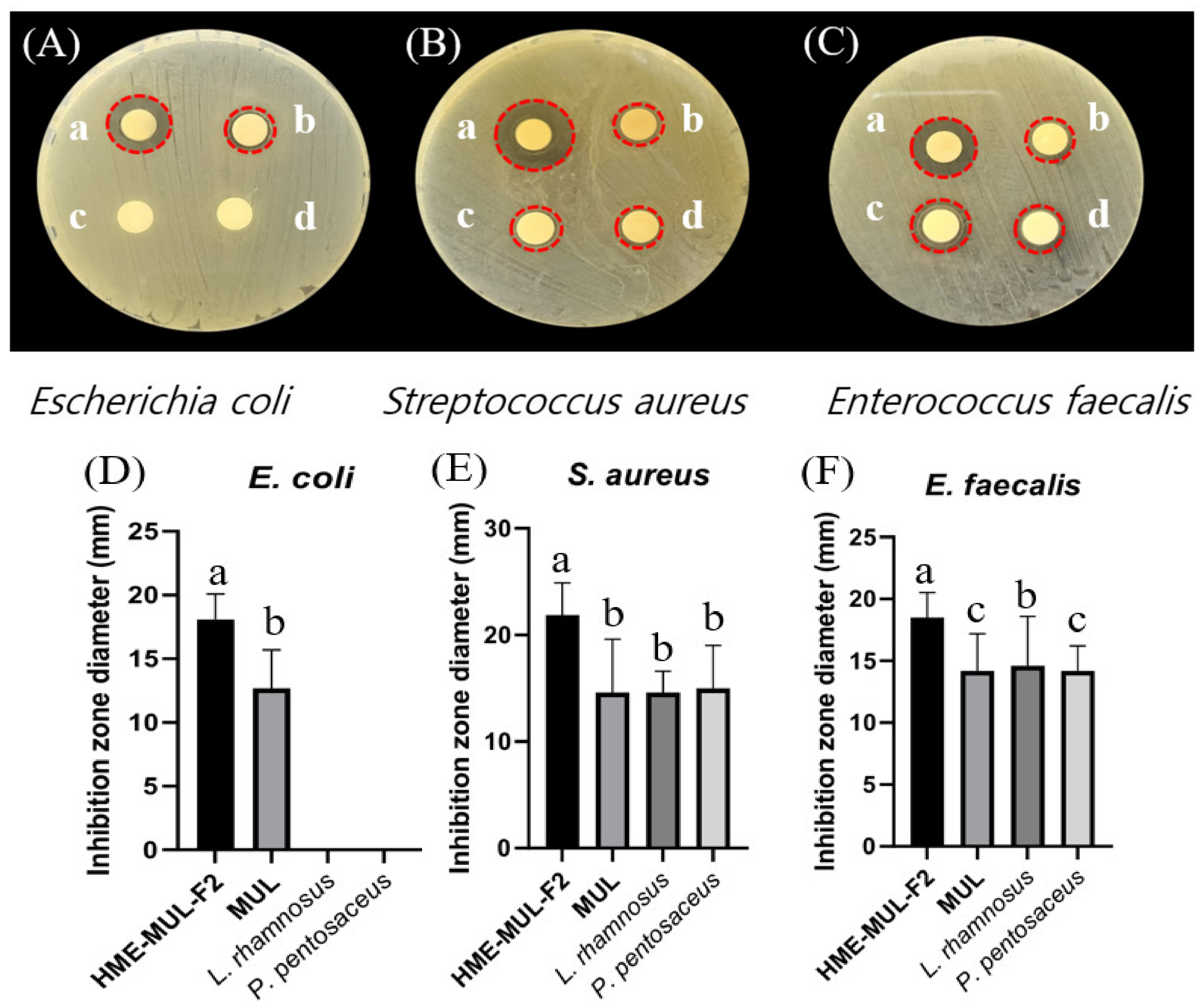 Antioxidants 11 02301 g006