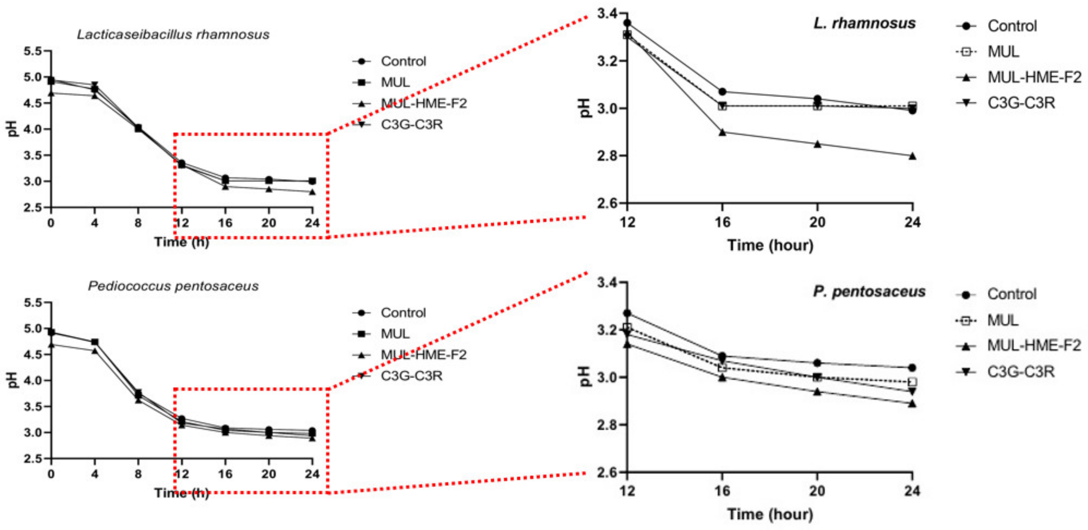 Antioxidants 11 02301 g008