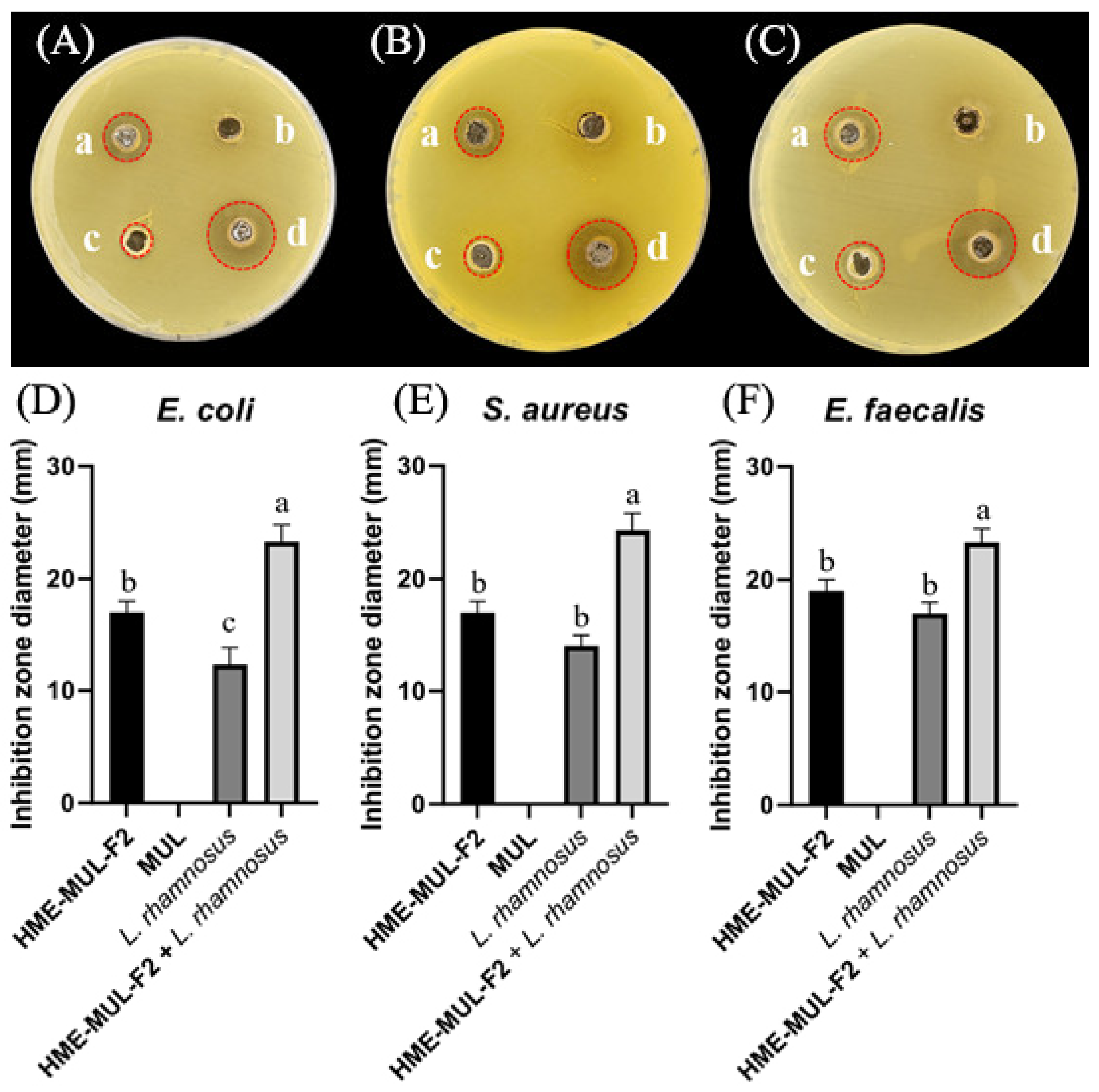 Antioxidants 11 02301 g010