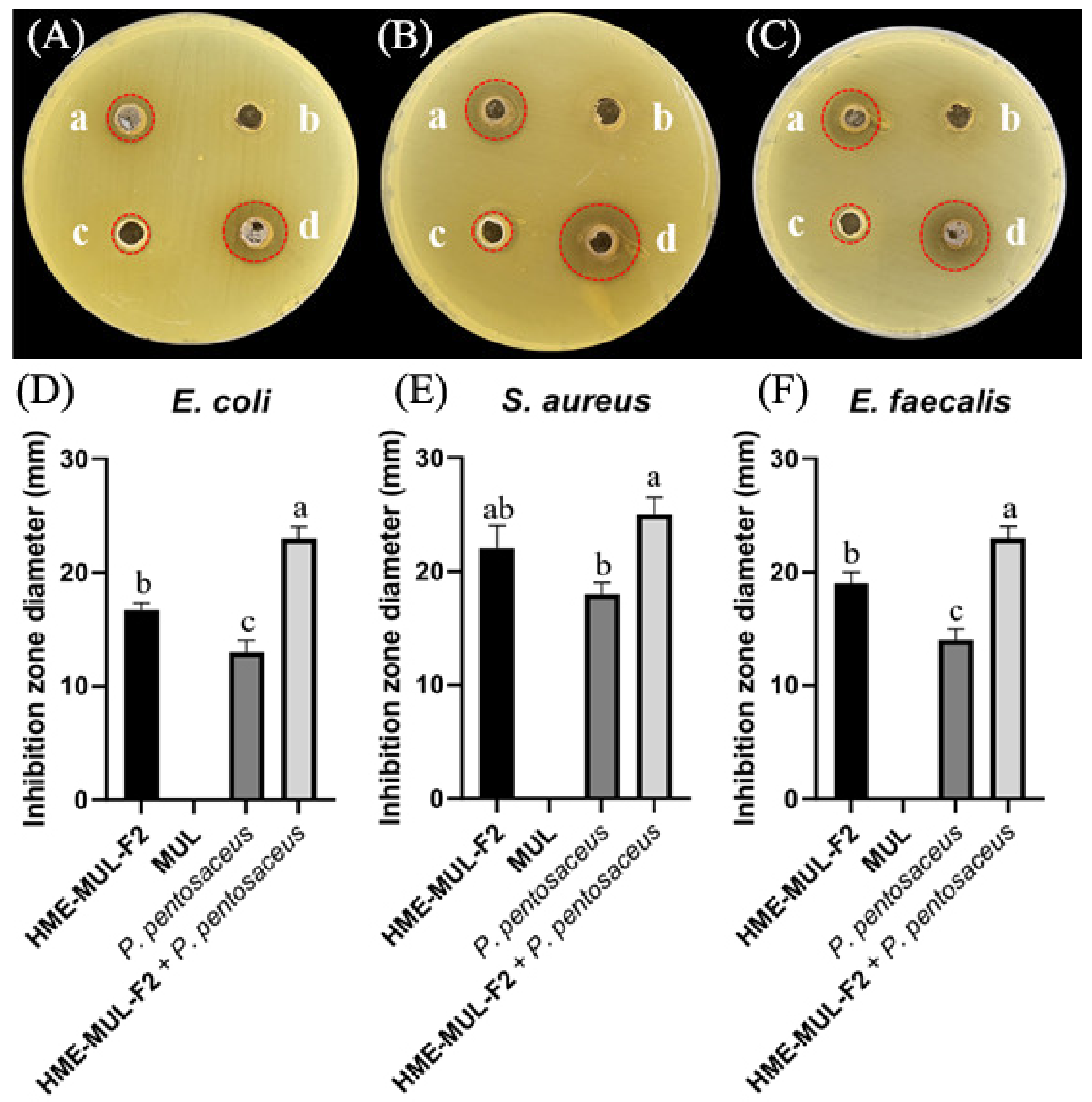 Antioxidants 11 02301 g011