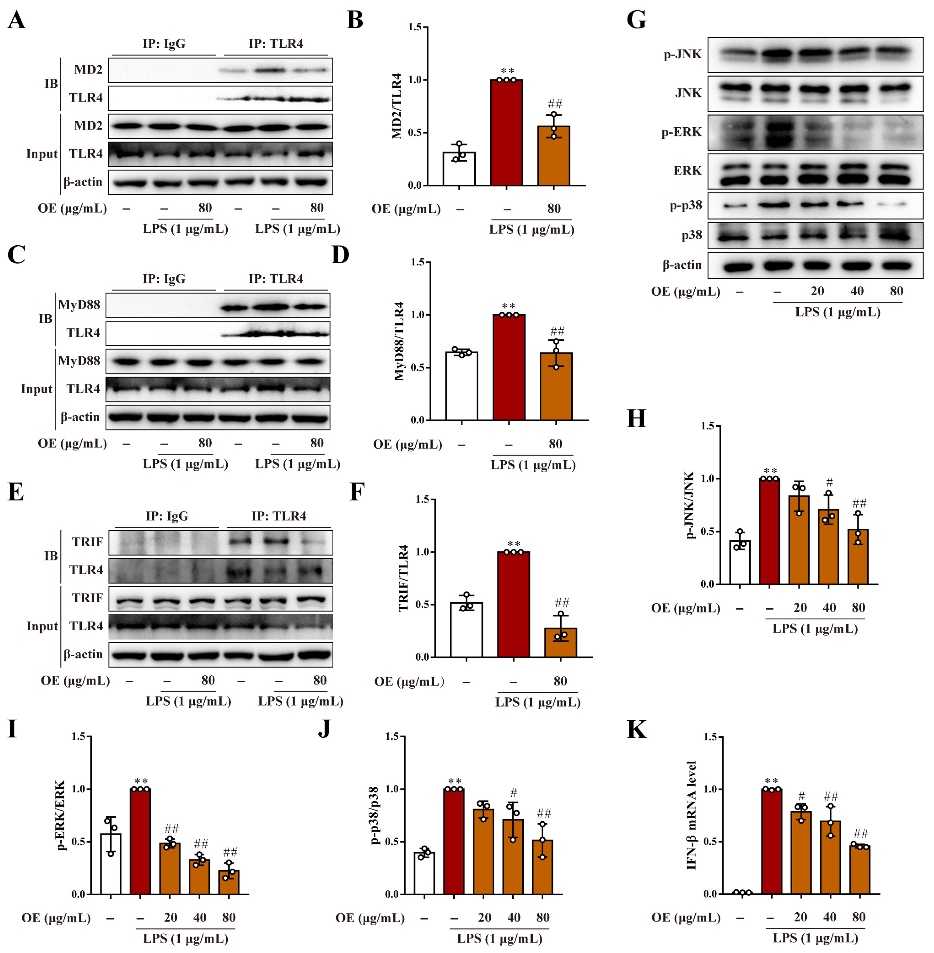 Antioxidants 11 02307 g003
