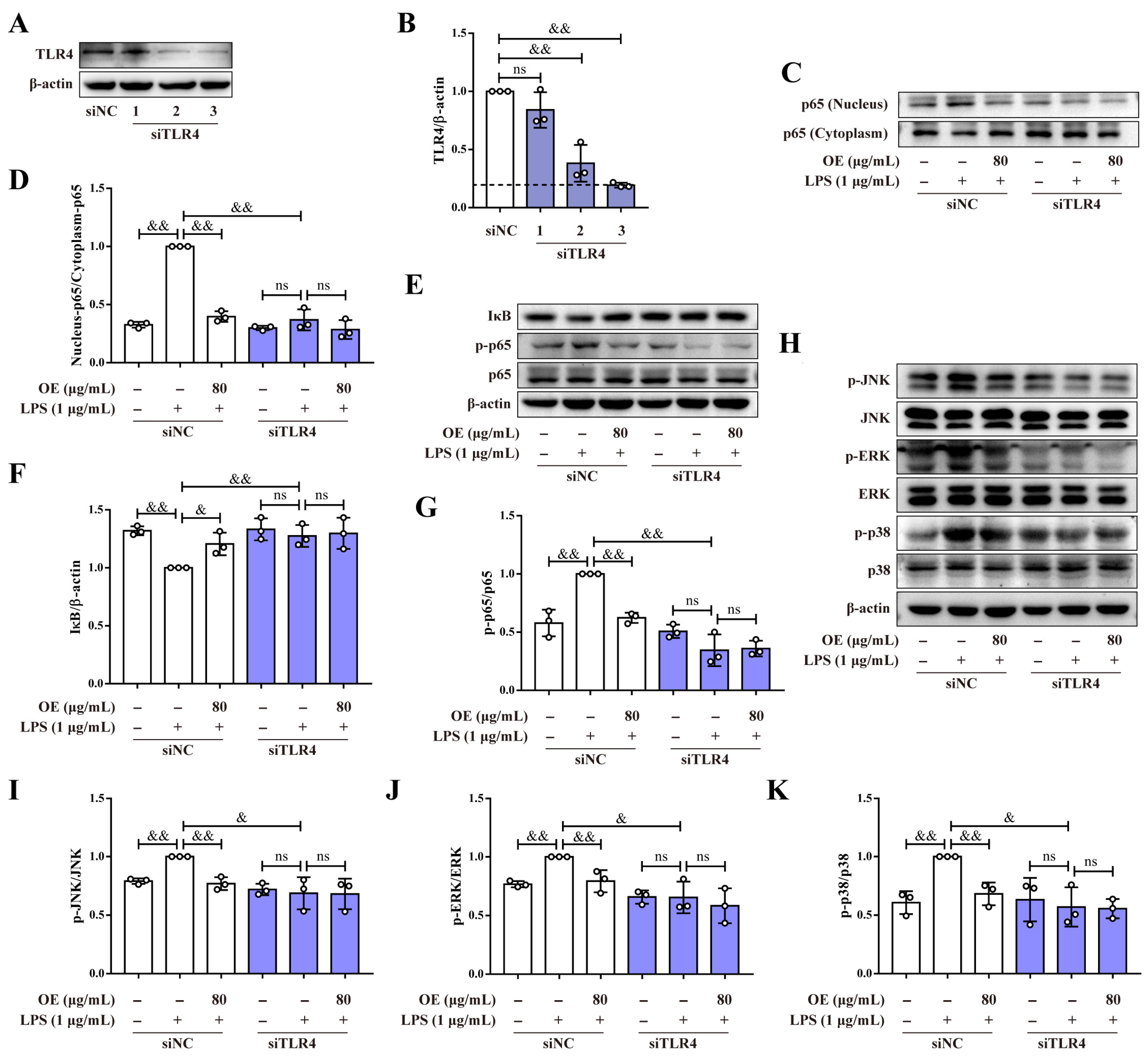 Antioxidants 11 02307 g004