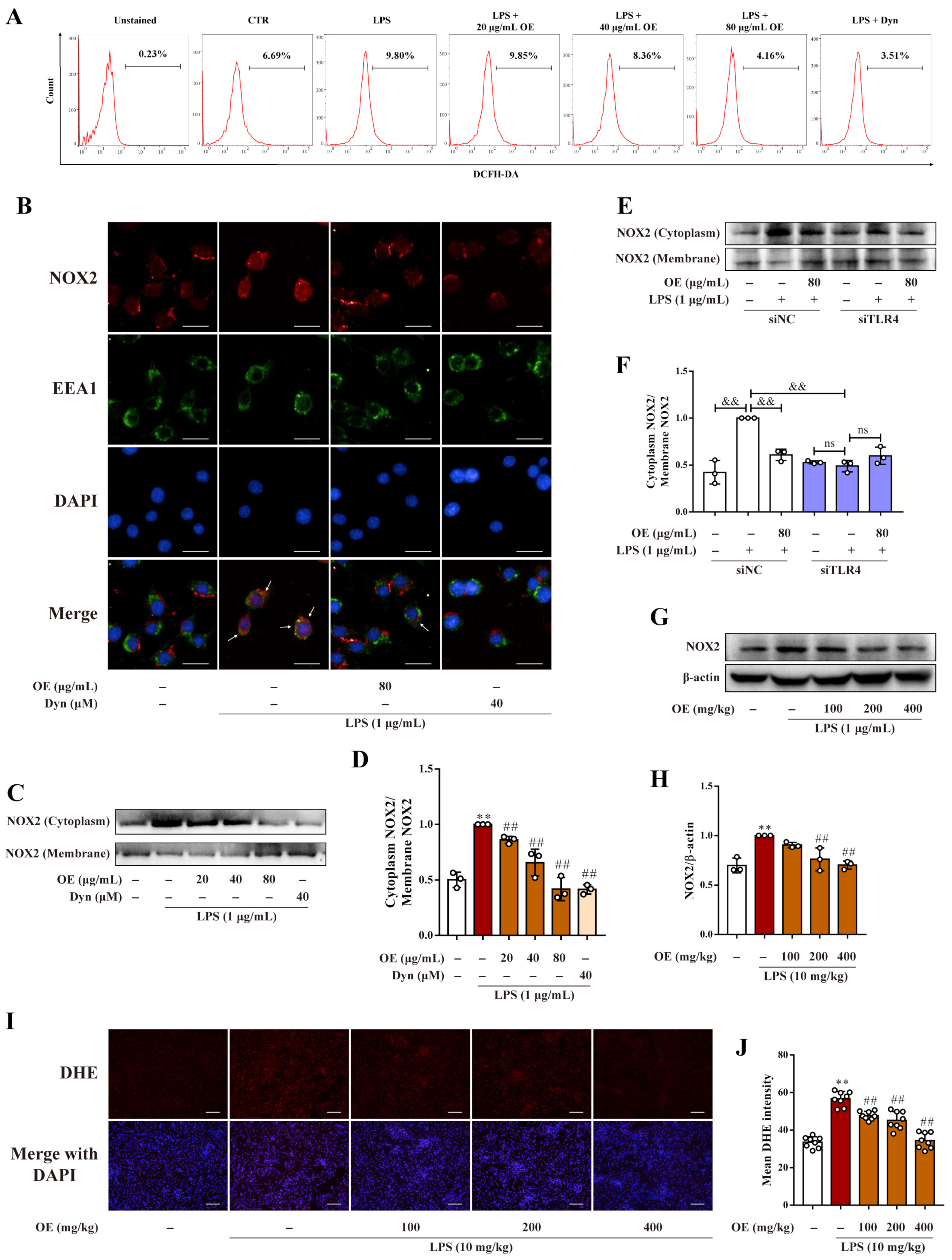 Antioxidants 11 02307 g005