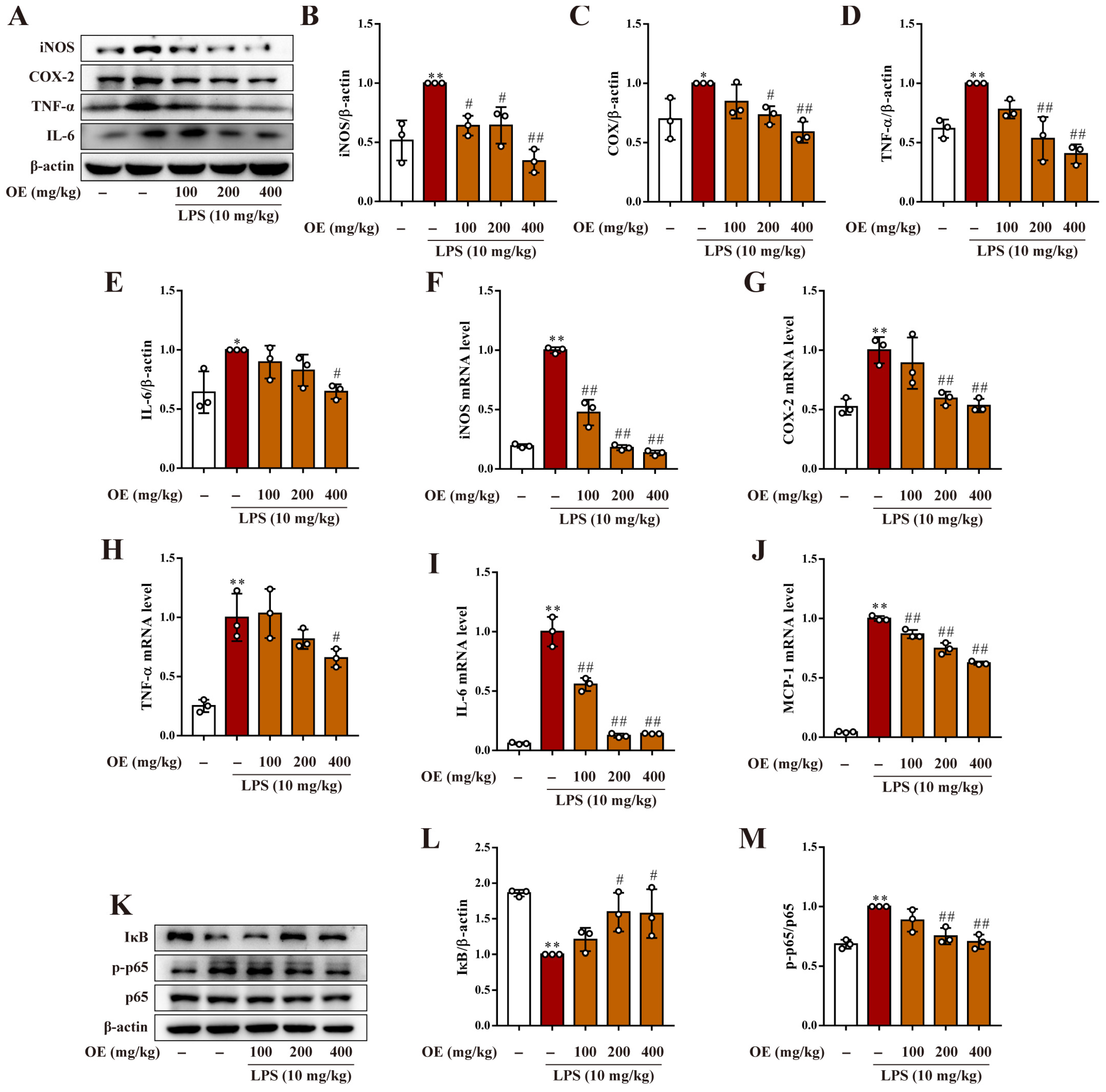 Antioxidants 11 02307 g007