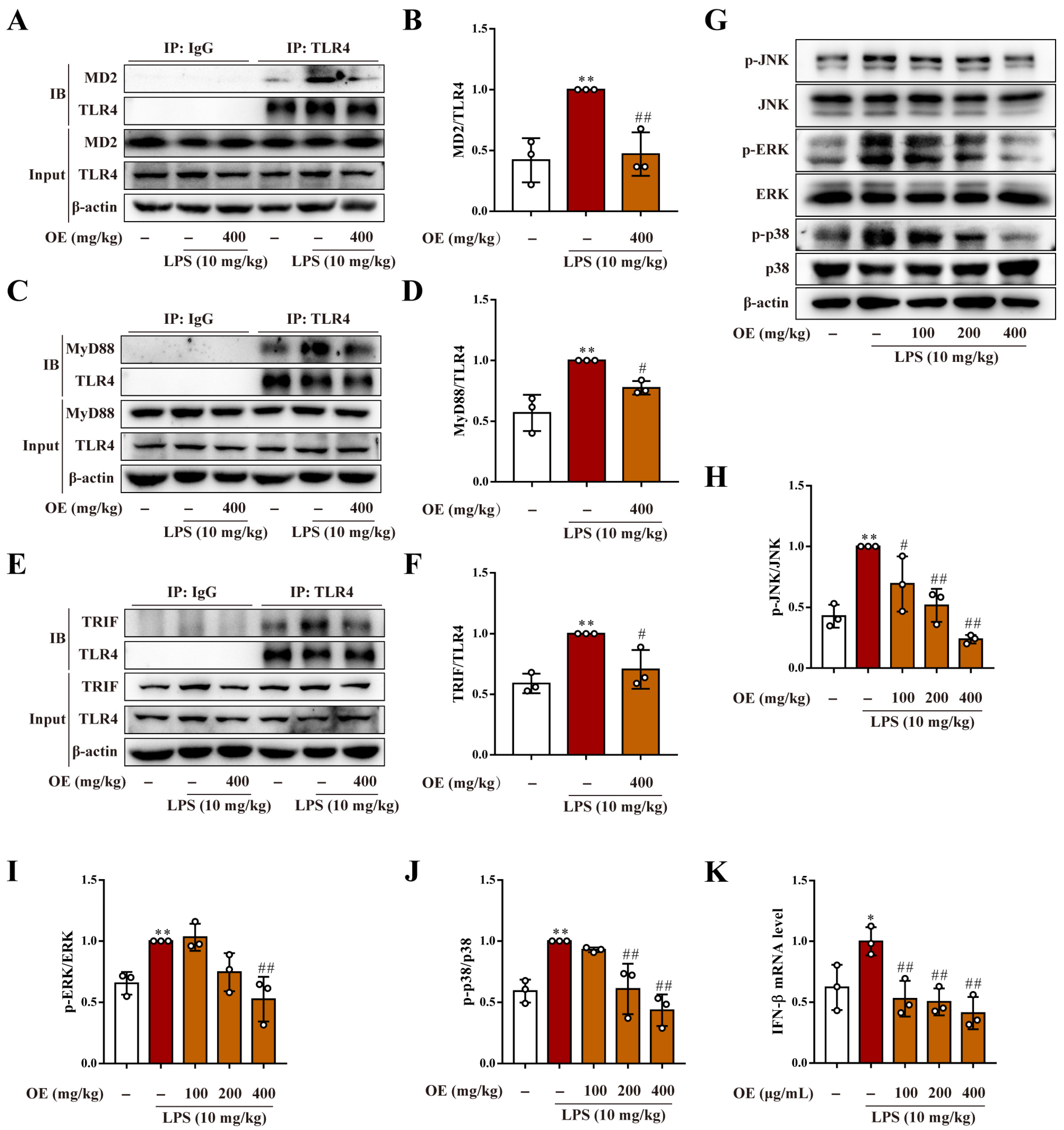 Antioxidants 11 02307 g008