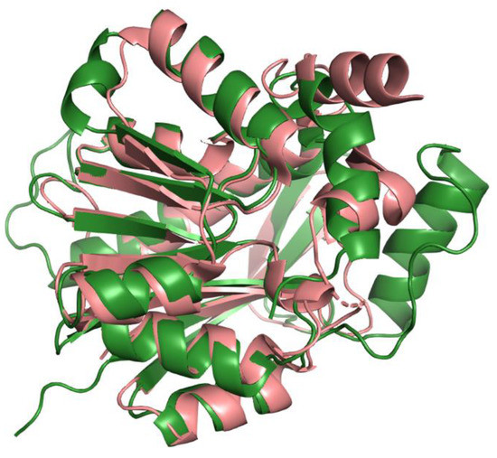 Antioxidants 11 02308 g0a1