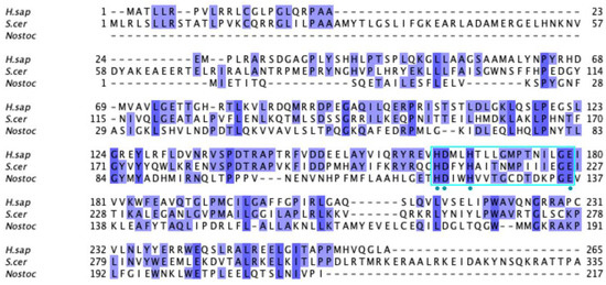 Antioxidants 11 02308 g0a2