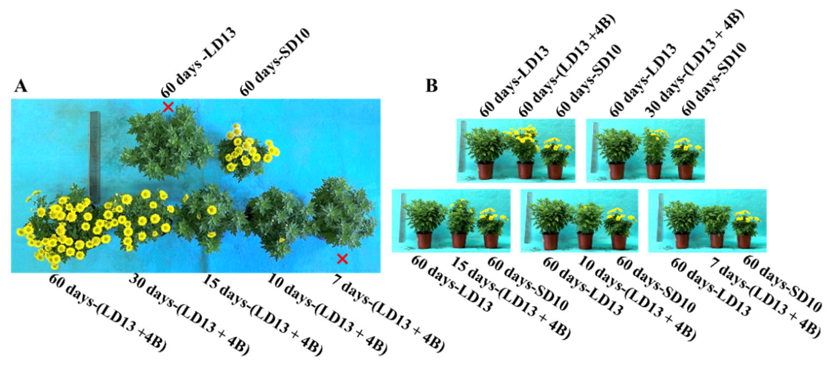 Antioxidants 11 02310 g002