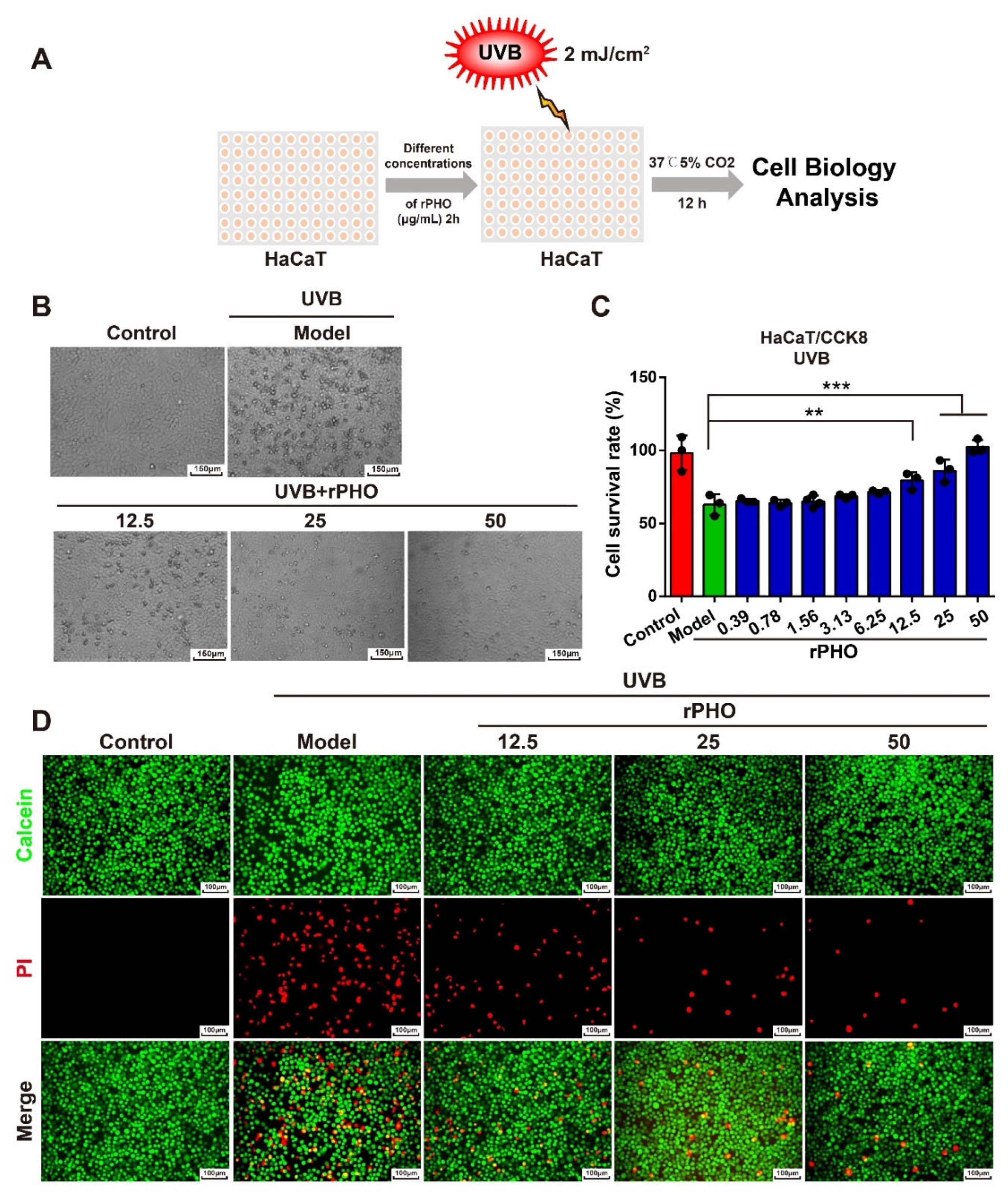 Antioxidants 11 02312 g003