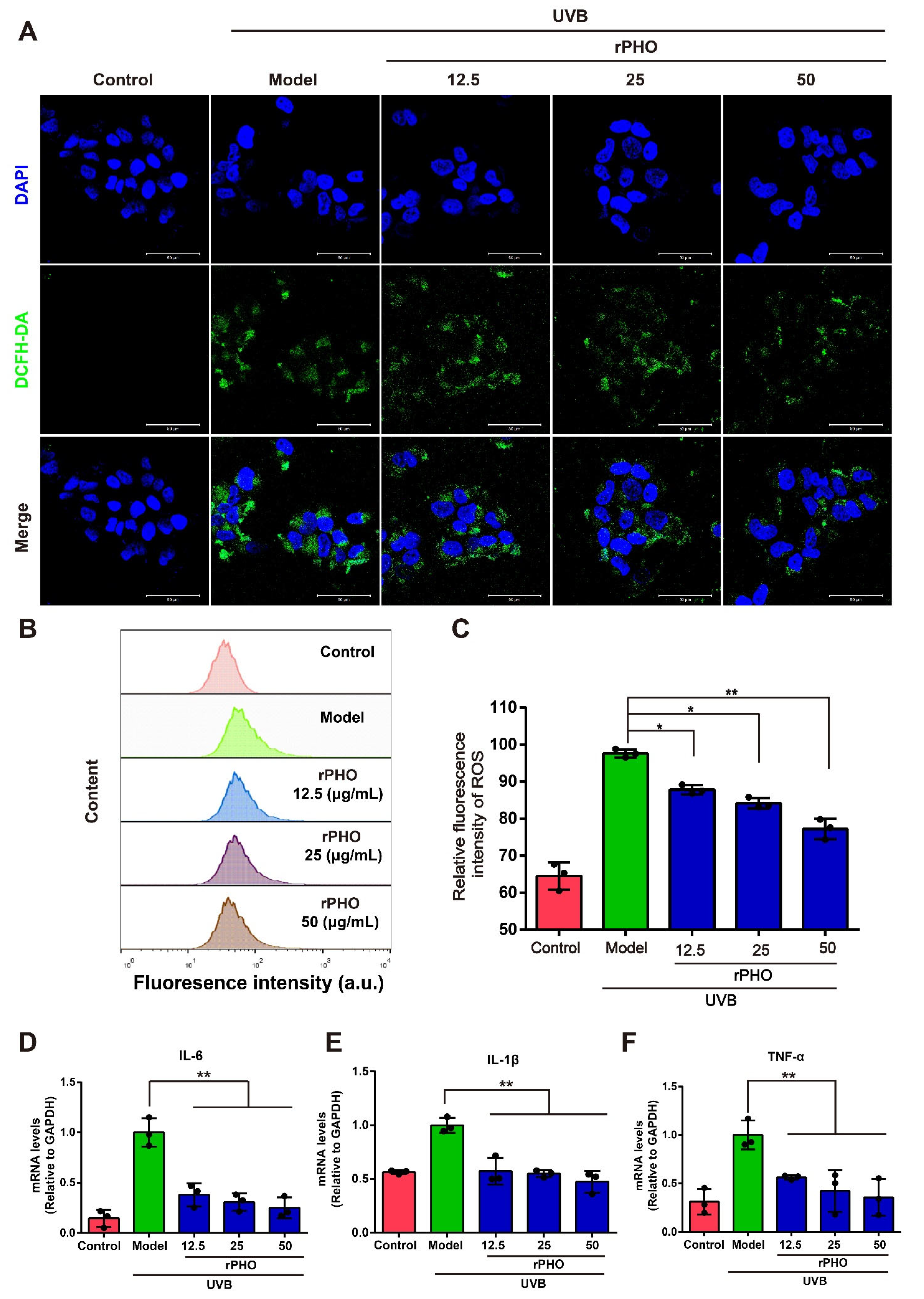 Antioxidants 11 02312 g008
