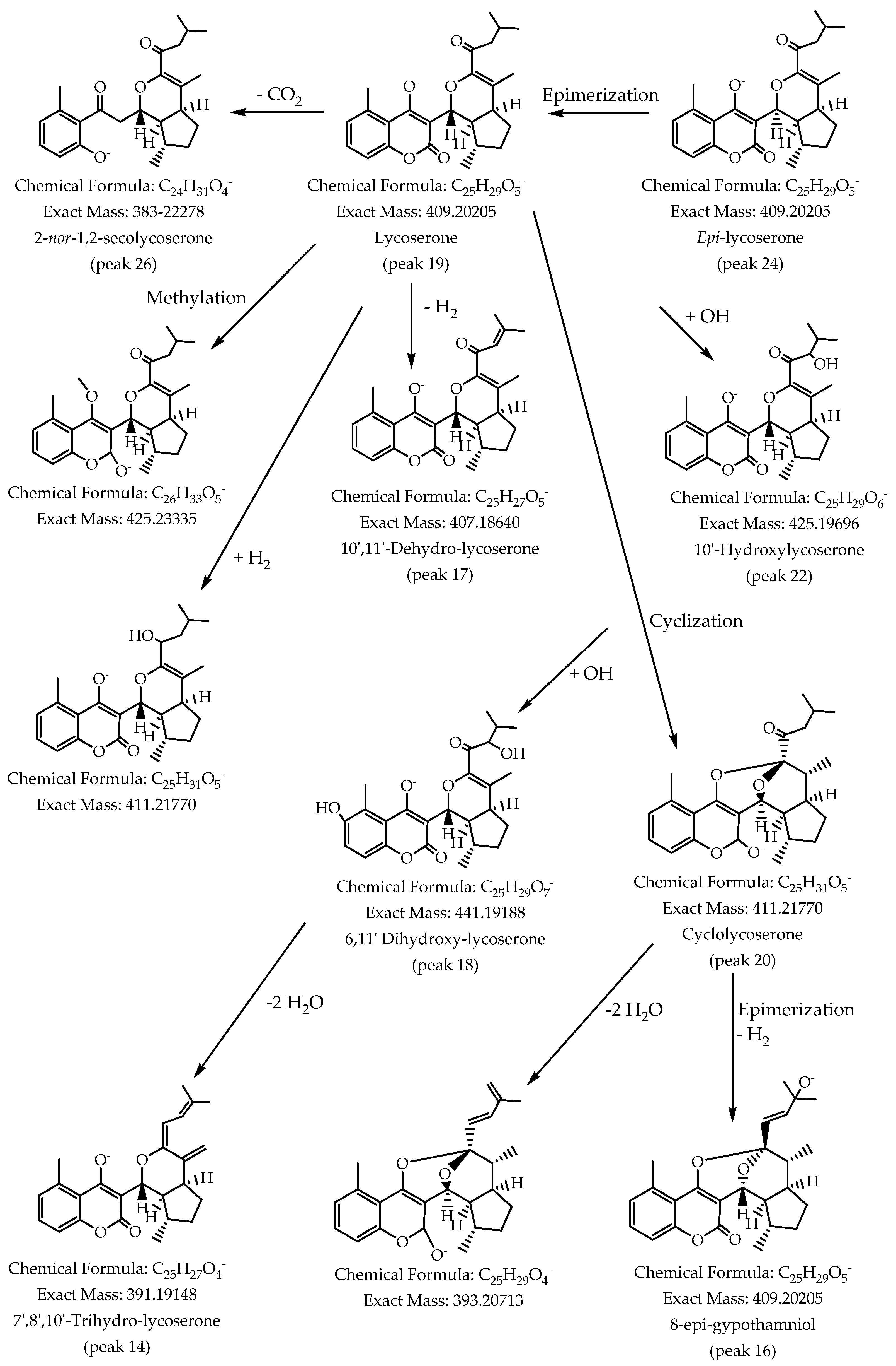 Antioxidants 11 02313 g003 Antioxidants 11 02313 g003